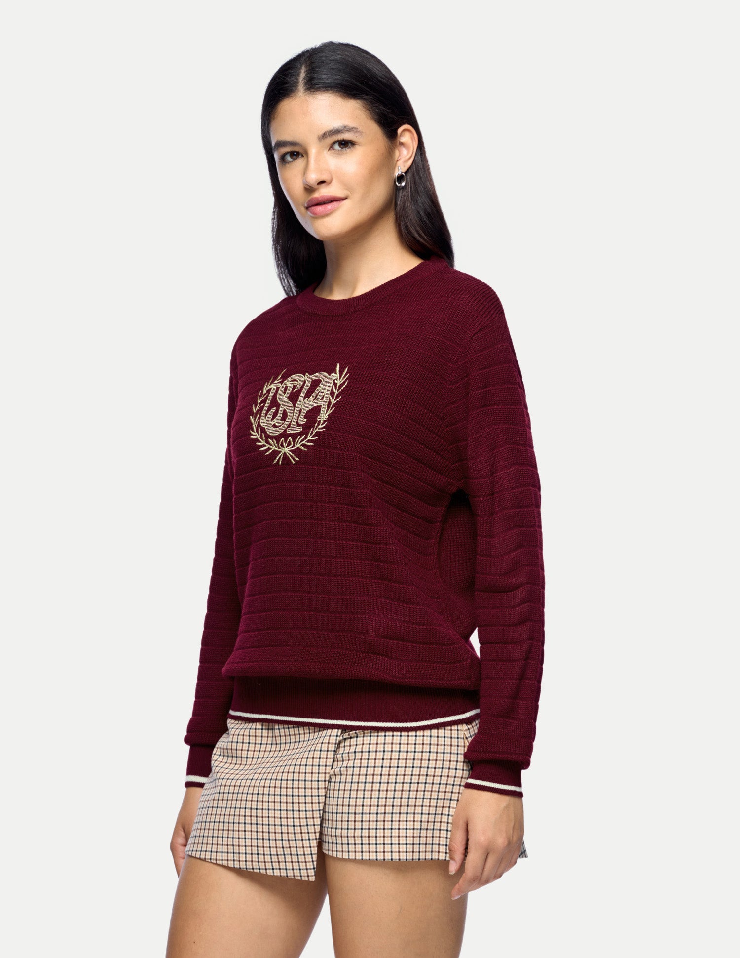 Brand Embroidered Regular Fit Sweater Maroon - U.S. Polo Assn. India | Large