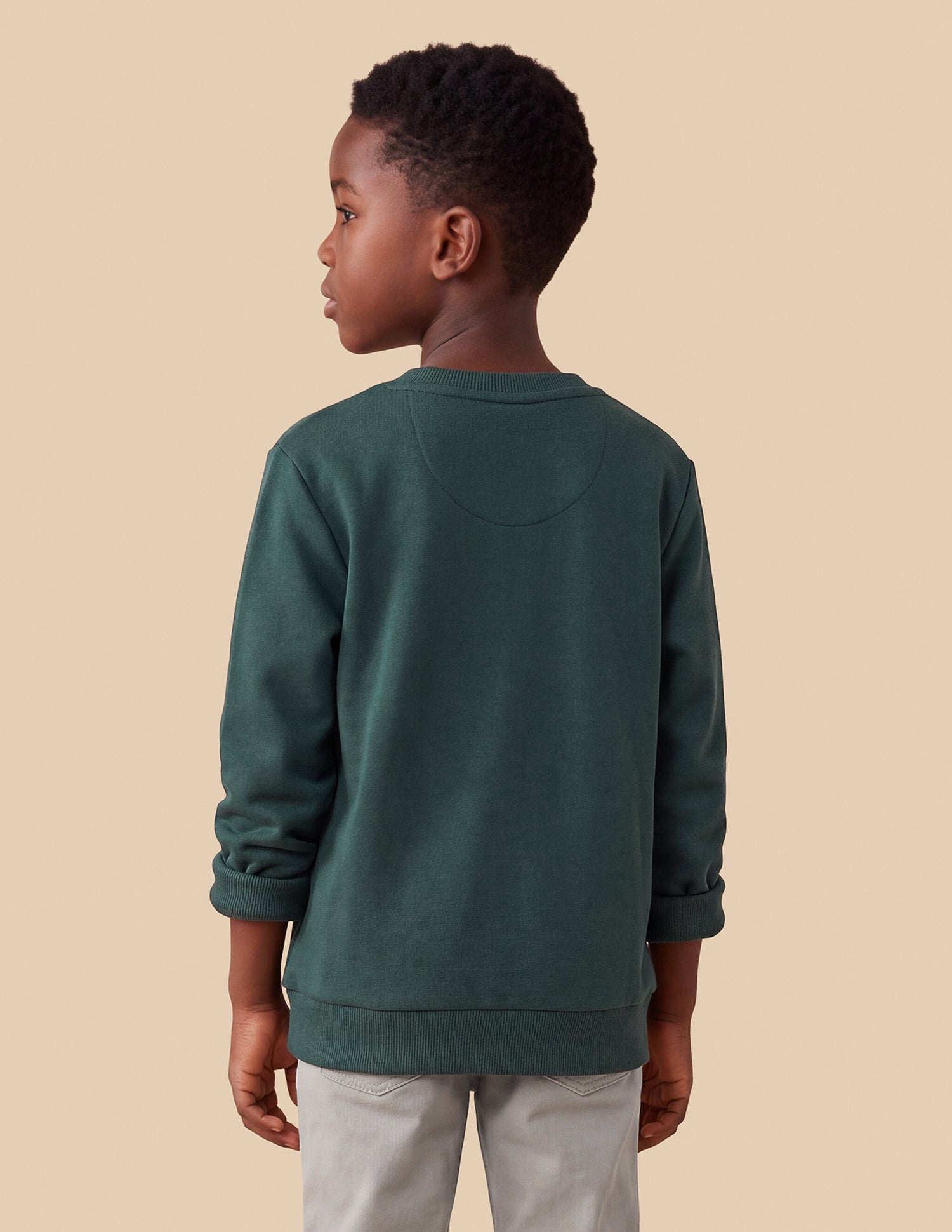 Brand Embroidered Regular Fit Sweatshirt Dark Green - U.S. Polo Assn. India | Large