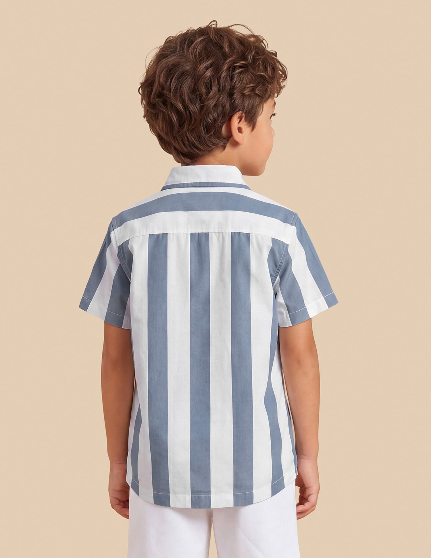 Vertical Striped Regular Fit Shirt Light Blue - U.S. Polo Assn. India | Large