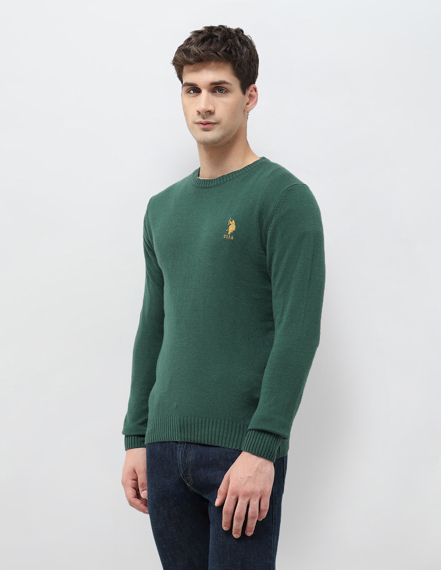 Solid Pattern Regular Fit Sweater Green - U.S. POLO ASSN. | Large