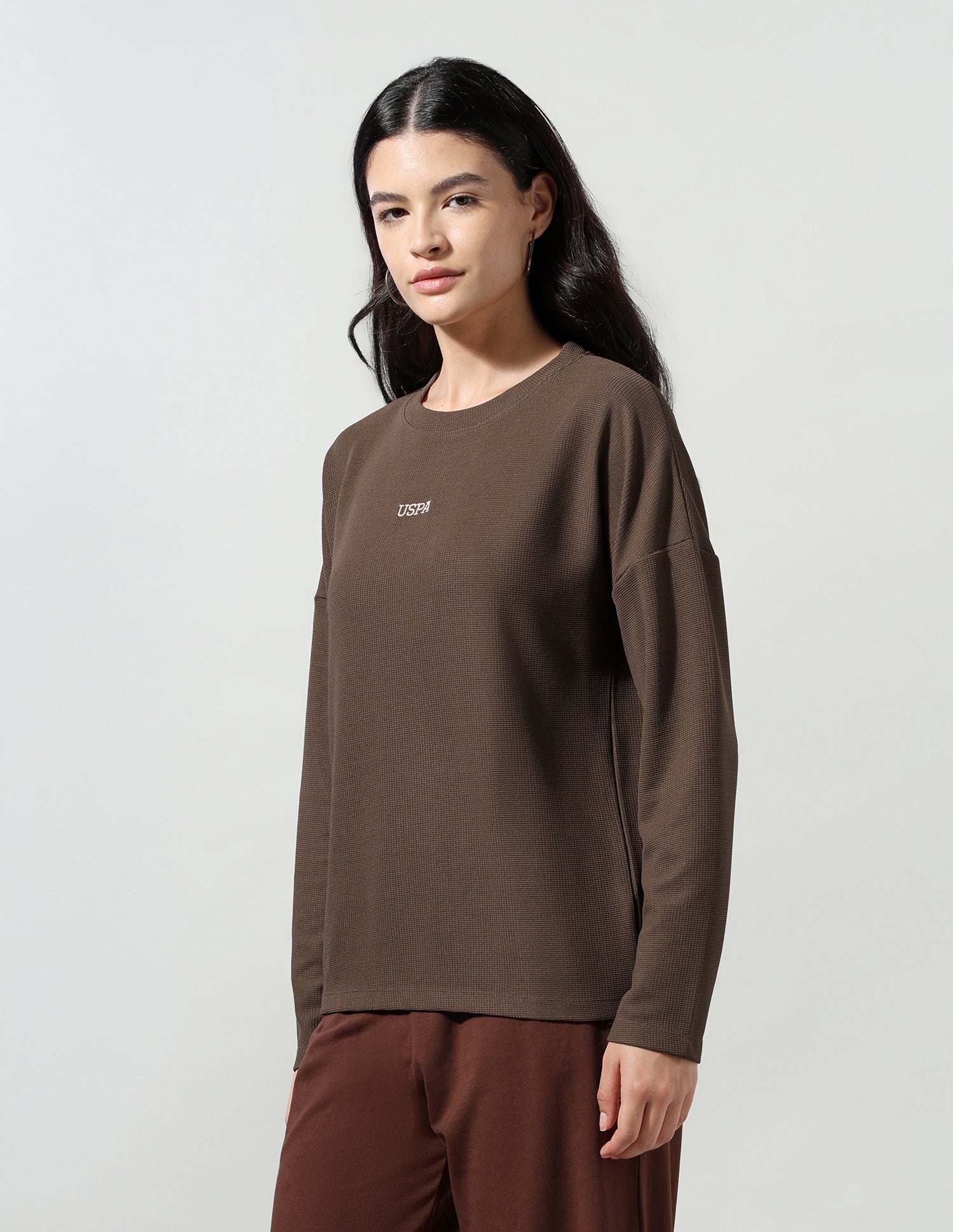 Solid Regular Fit T-Shirt Brown - U.S. Polo Assn. India | Large