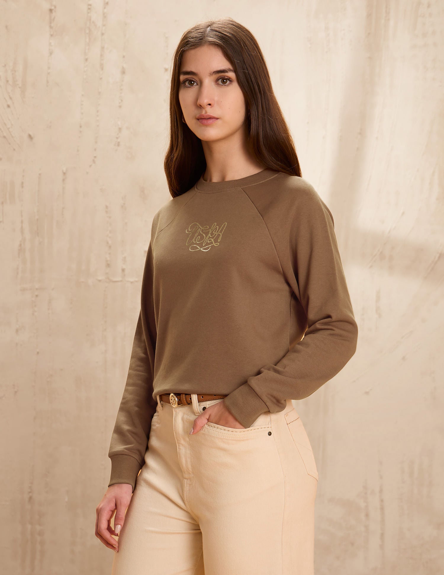 Raglan Fit Brand Printed Sweatshirt Brown - U.S. POLO ASSN. | Large