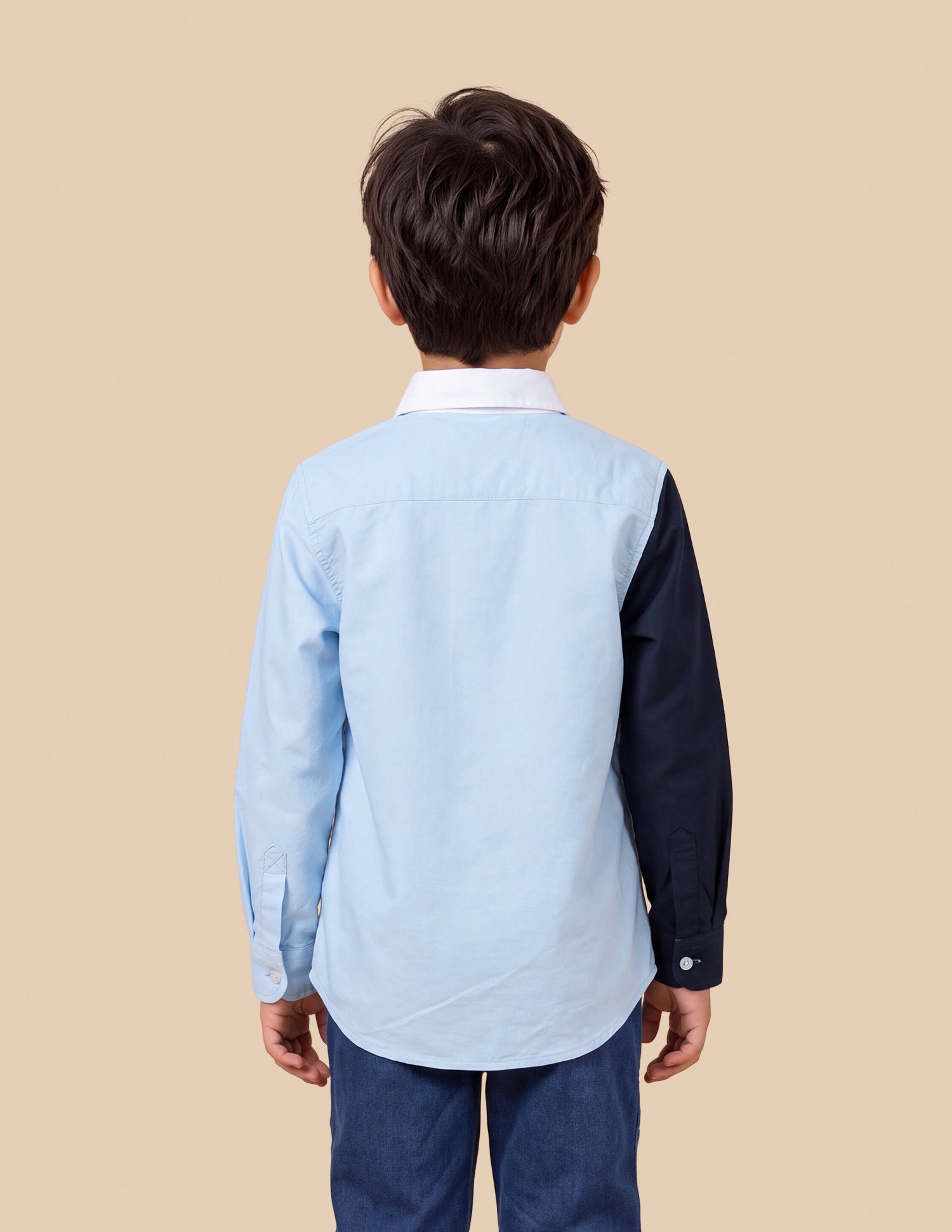 Brand Embroidered Oxford Shirt Light Blue - U.S. Polo Assn. India | Large