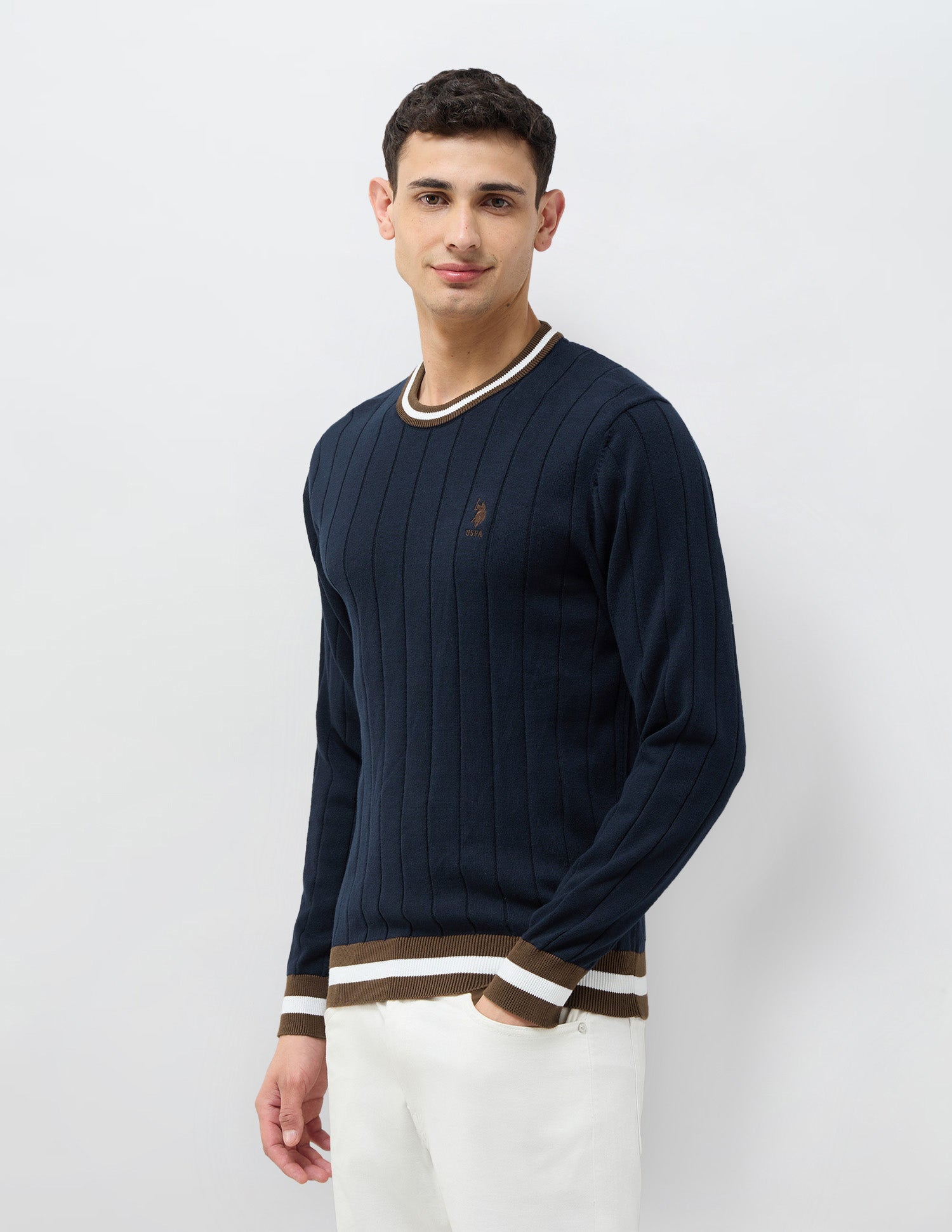 Vertical Striped Patterned Knit Regular Fit Sweater Navy - U.S. POLO ASSN. | Large