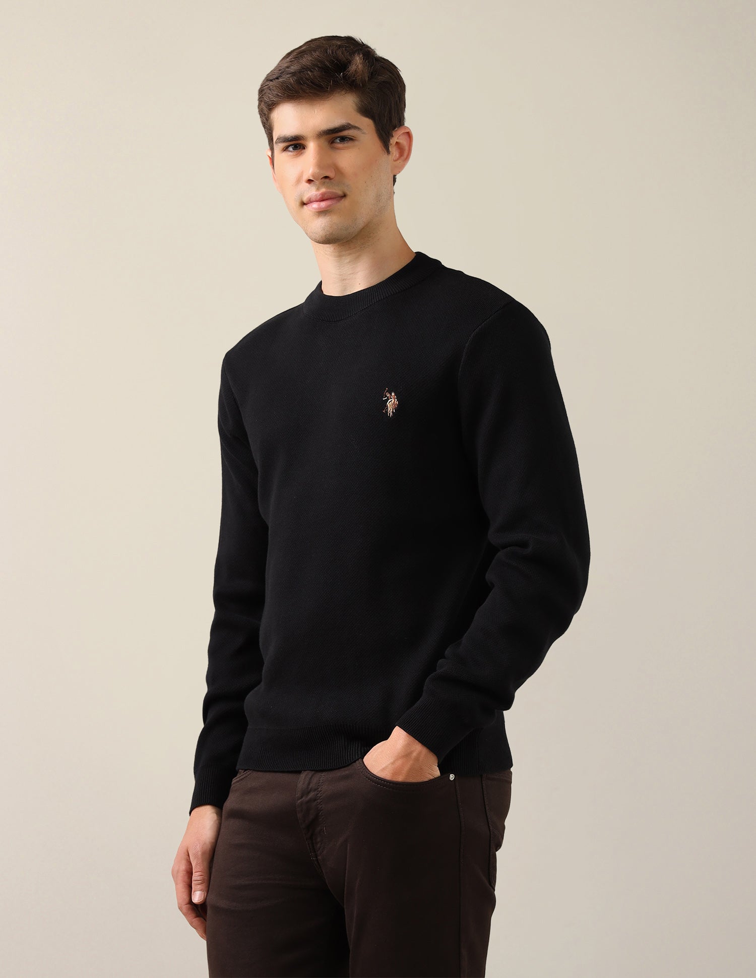 Solid Regular Fit Sweater Black - U.S. Polo Assn. India | Large