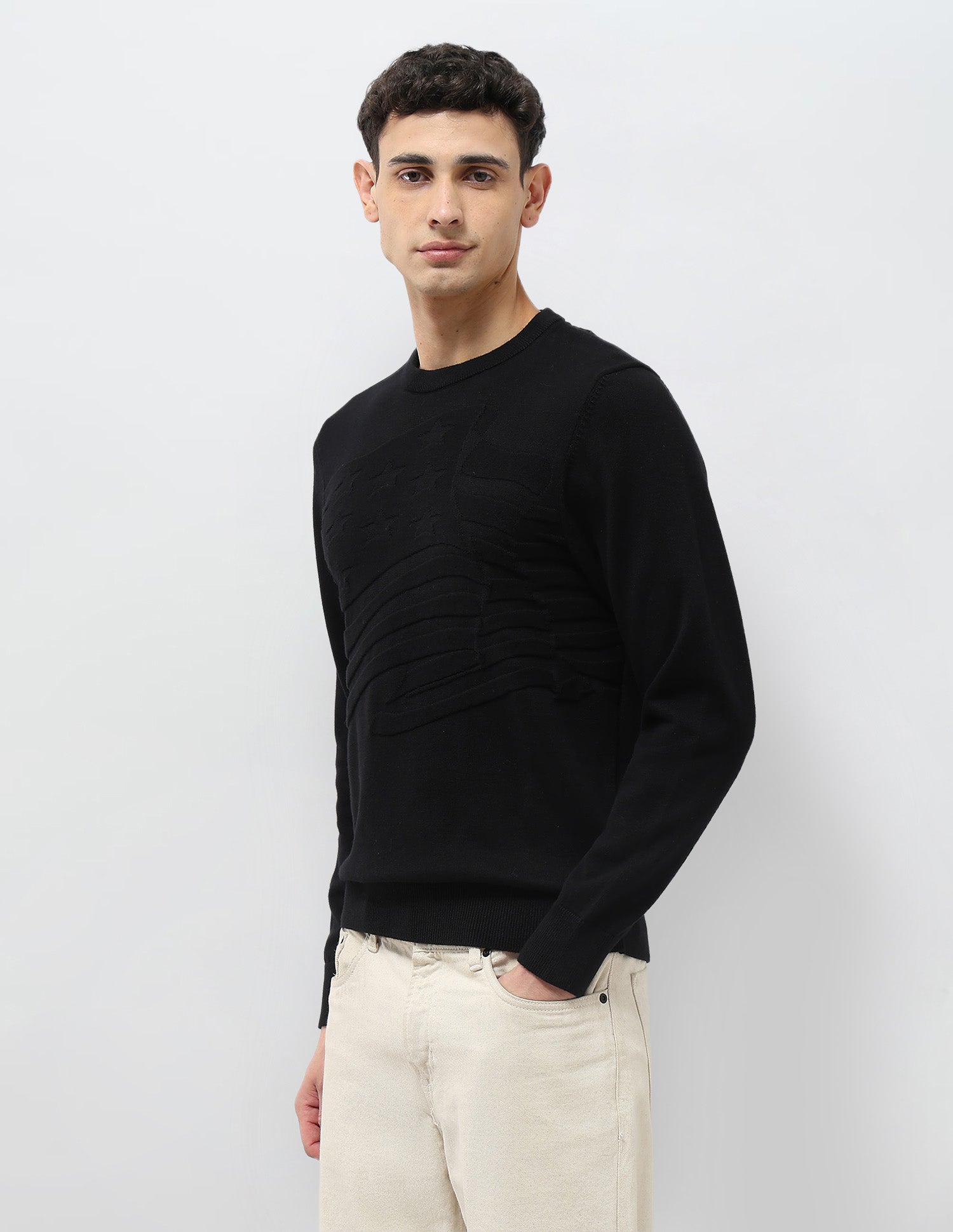 Textured Regular Fit Sweater Black - U.S. POLO ASSN. | Large