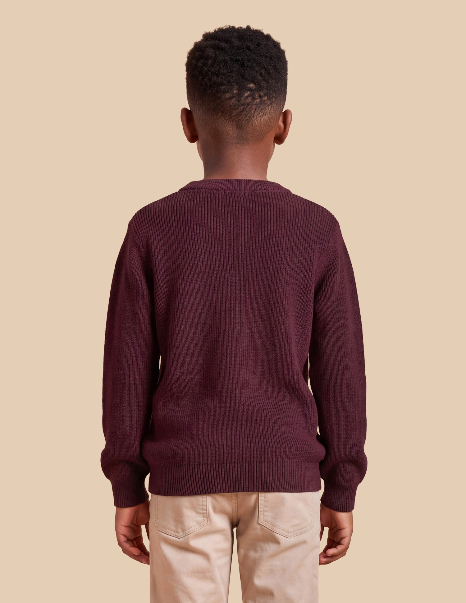 Brand Embroidered Regular Fit Sweater Wine - U.S. Polo Assn. India | Large