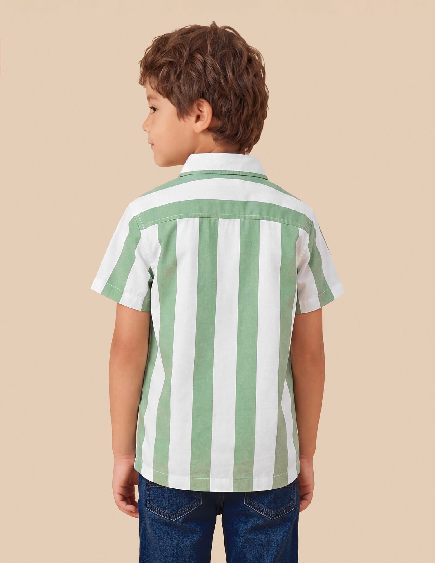 Vertical Striped Regular Fit Shirt Green - U.S. Polo Assn. India | Large