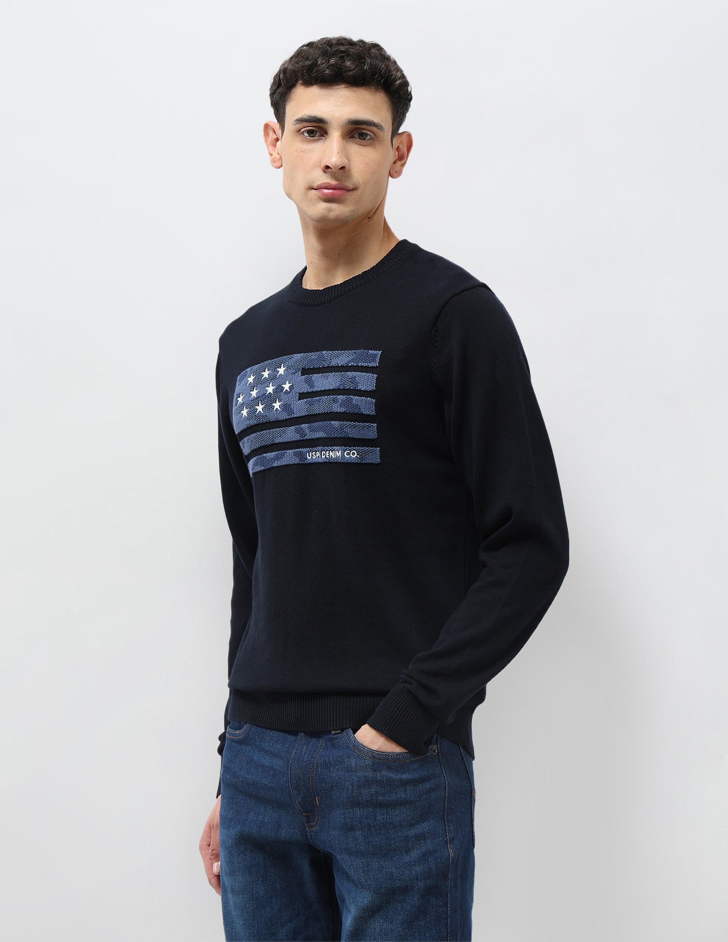 Graphic Patterned Knit Regular Fit Sweater Navy - U.S. POLO ASSN. | Large