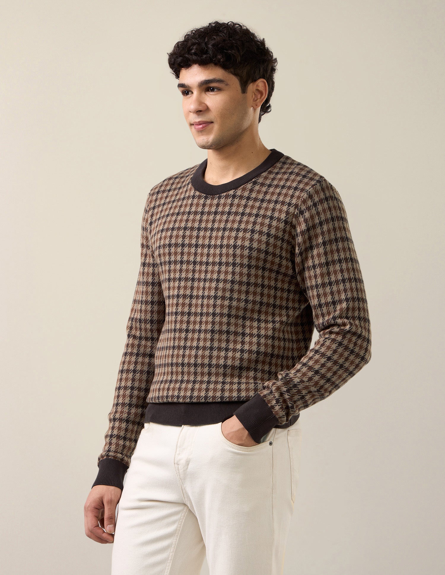 Houndstooth Patterned Knit Slim Fit Sweater Light Brown - U.S. Polo Assn. India | Large