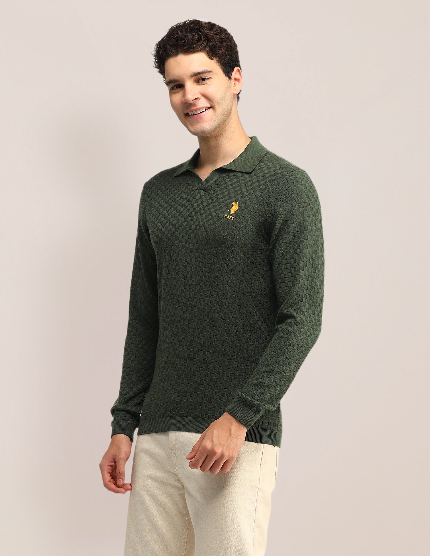 Textured Regular Fit Sweater Olive - U.S. Polo Assn. India | Large