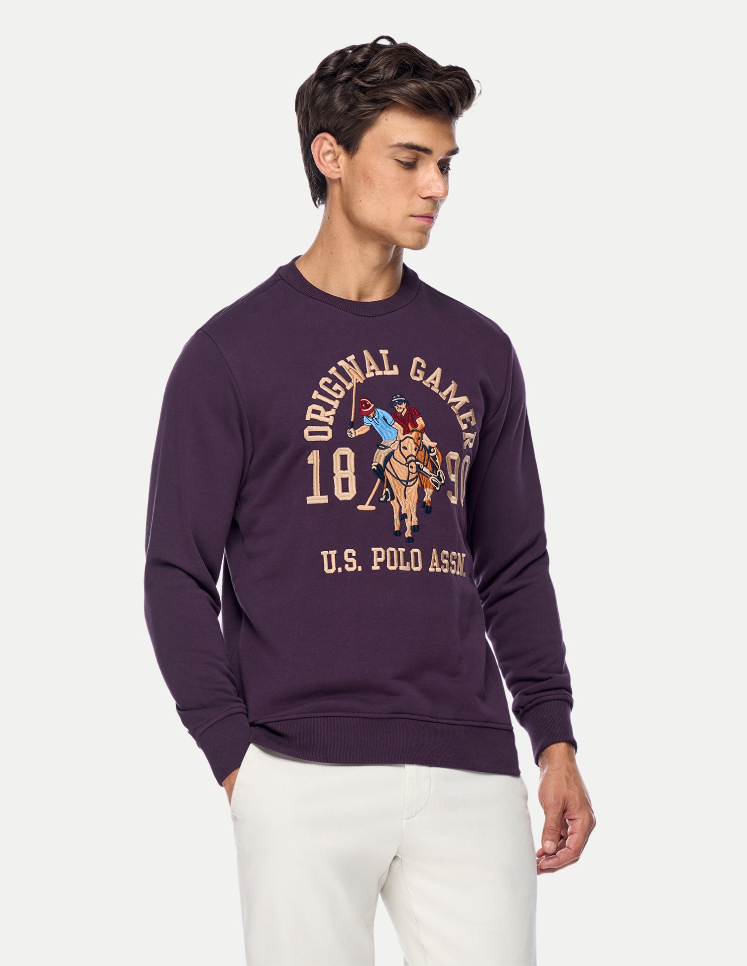 Graphic Brand Printed Regular Fit Sweatshirt Purple - U.S. Polo Assn. India | Large