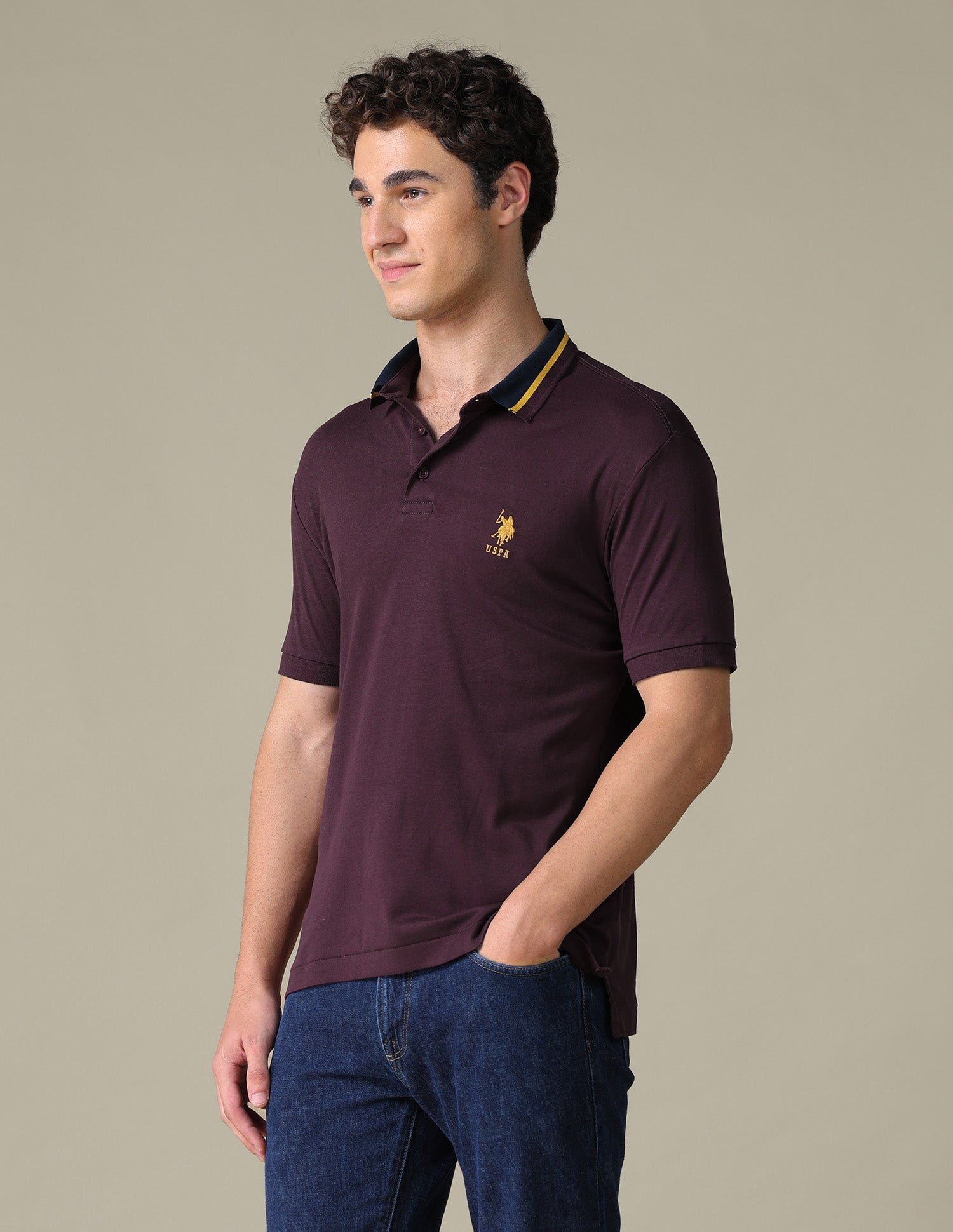 Solid Regular Fit Polo Shirt Purple - U.S. Polo Assn. India | Large