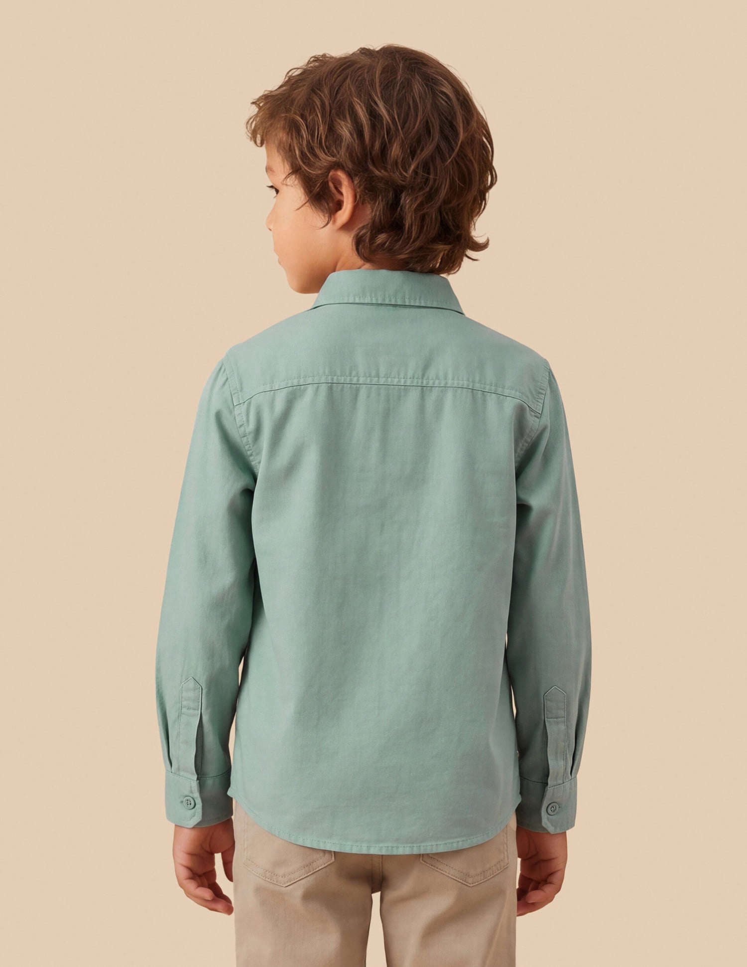 Solid Regular Fit Shirt Green - U.S. Polo Assn. India | Large
