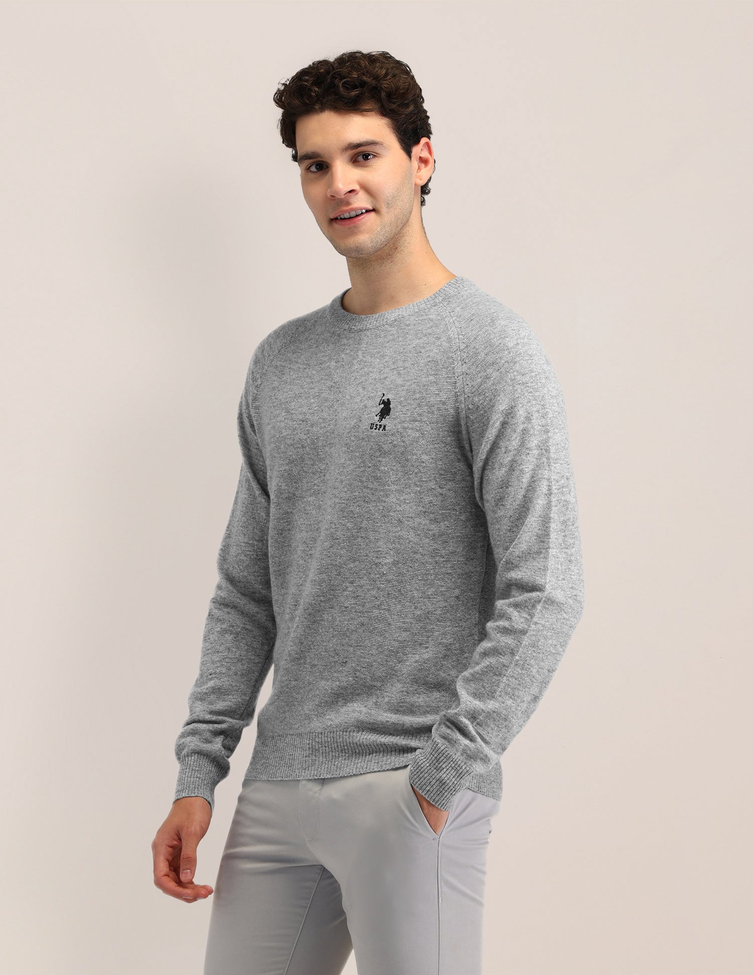 Textured Regular Fit Sweater Light Grey - U.S. Polo Assn. India | Large