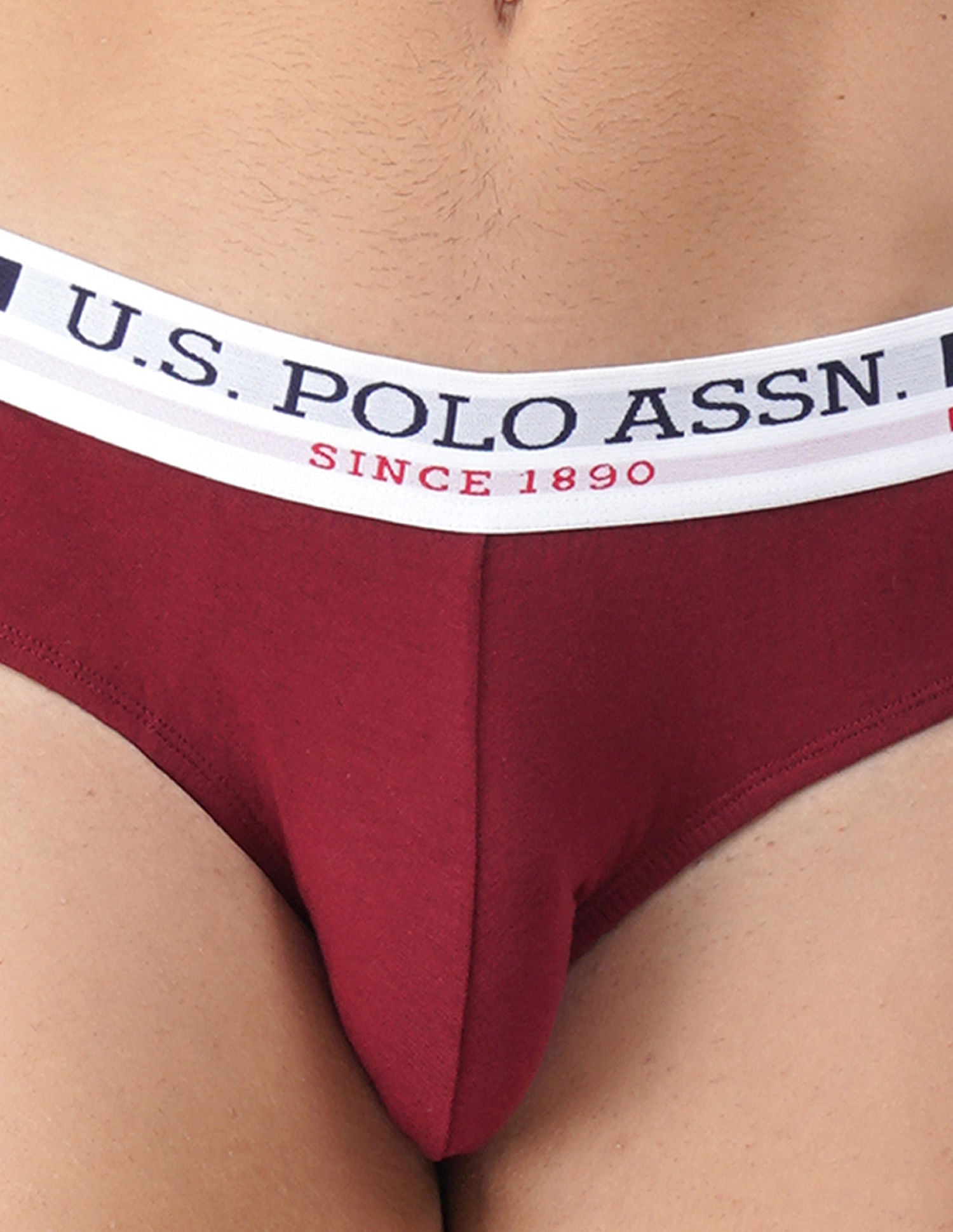Pure Cotton Solid I006 Briefs - Pack Of 2 Maroon - U.S. POLO ASSN. | Large