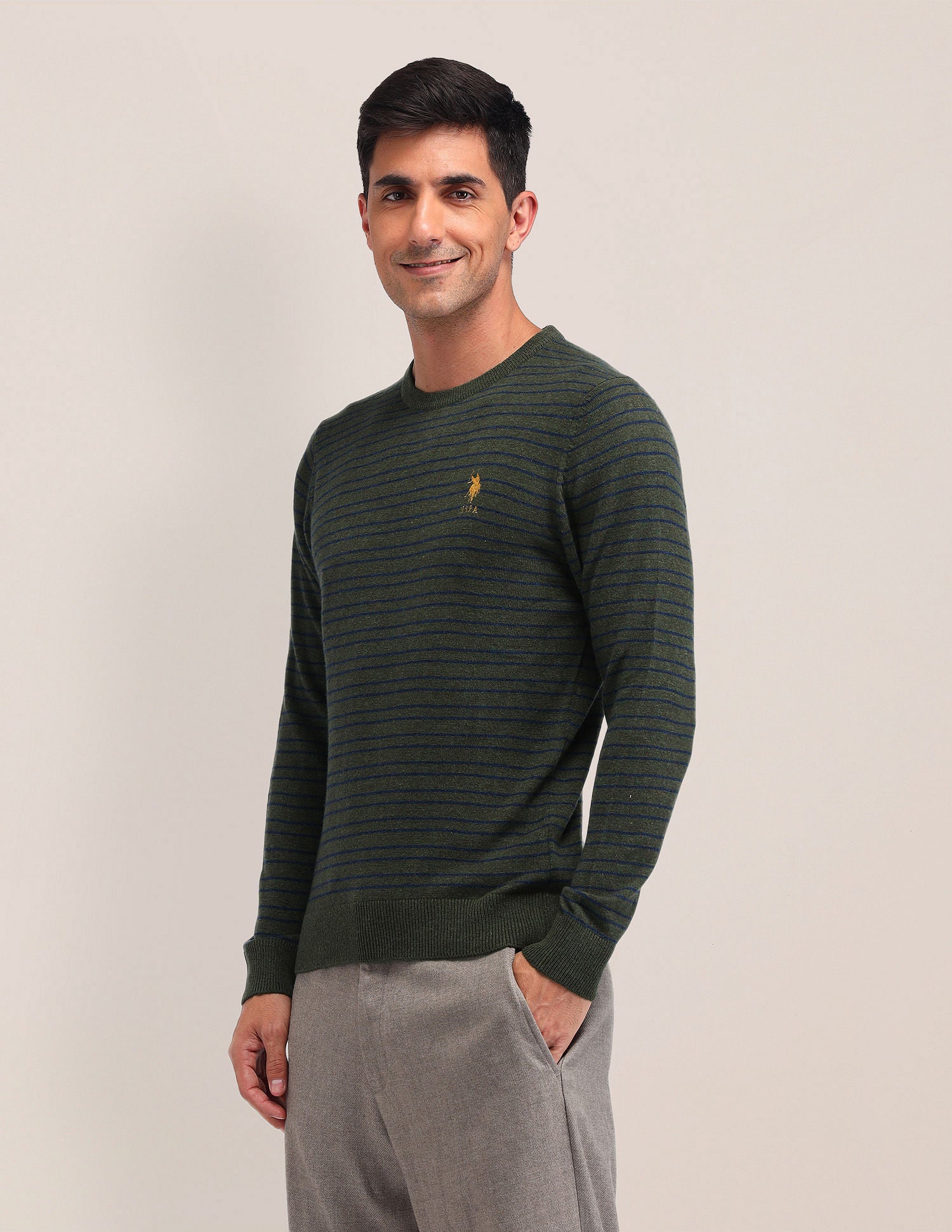 Regular Fit Striped Sweater Green - U.S. Polo Assn. India | Large