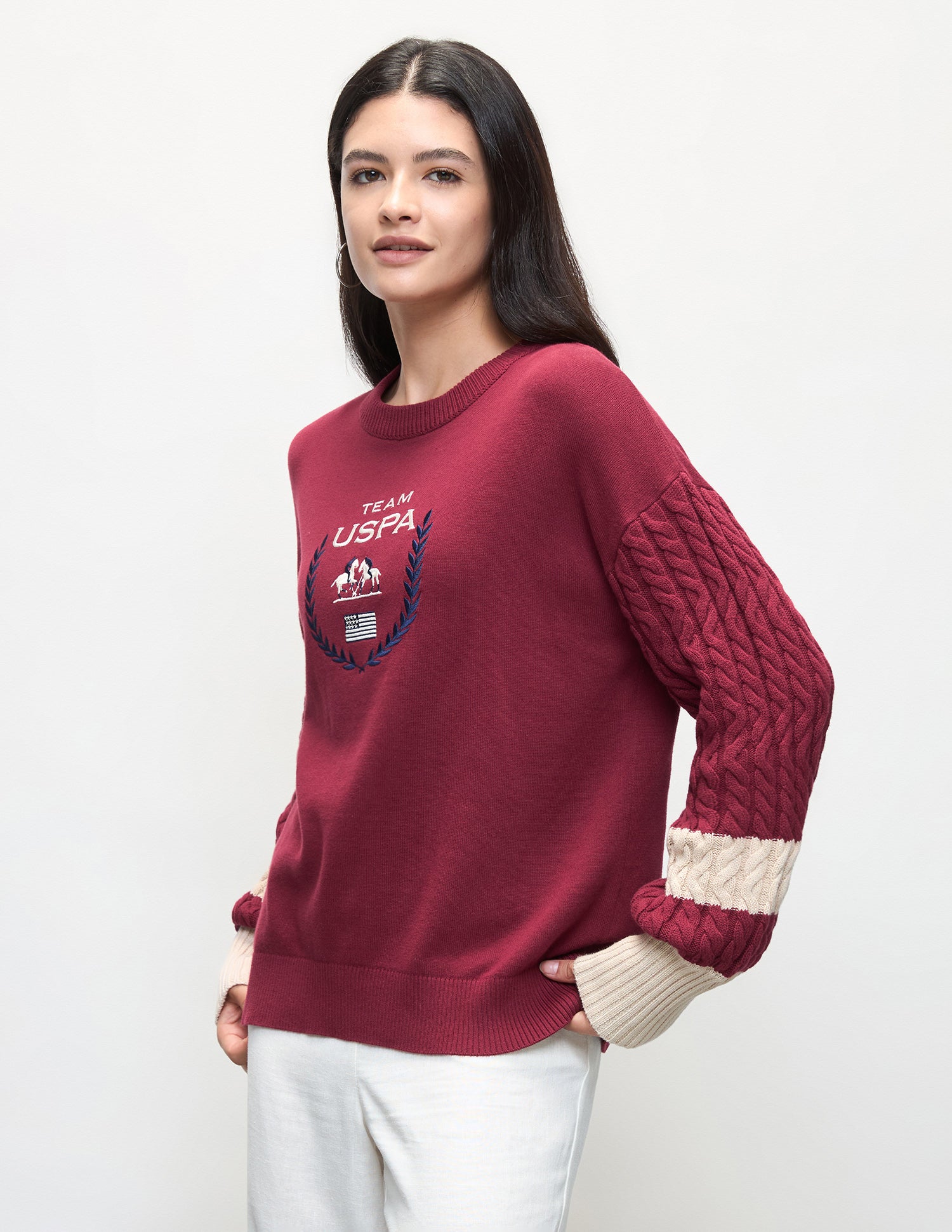Brand Embroidered Regular Fit Sweater Dark Red - U.S. Polo Assn. India | Large