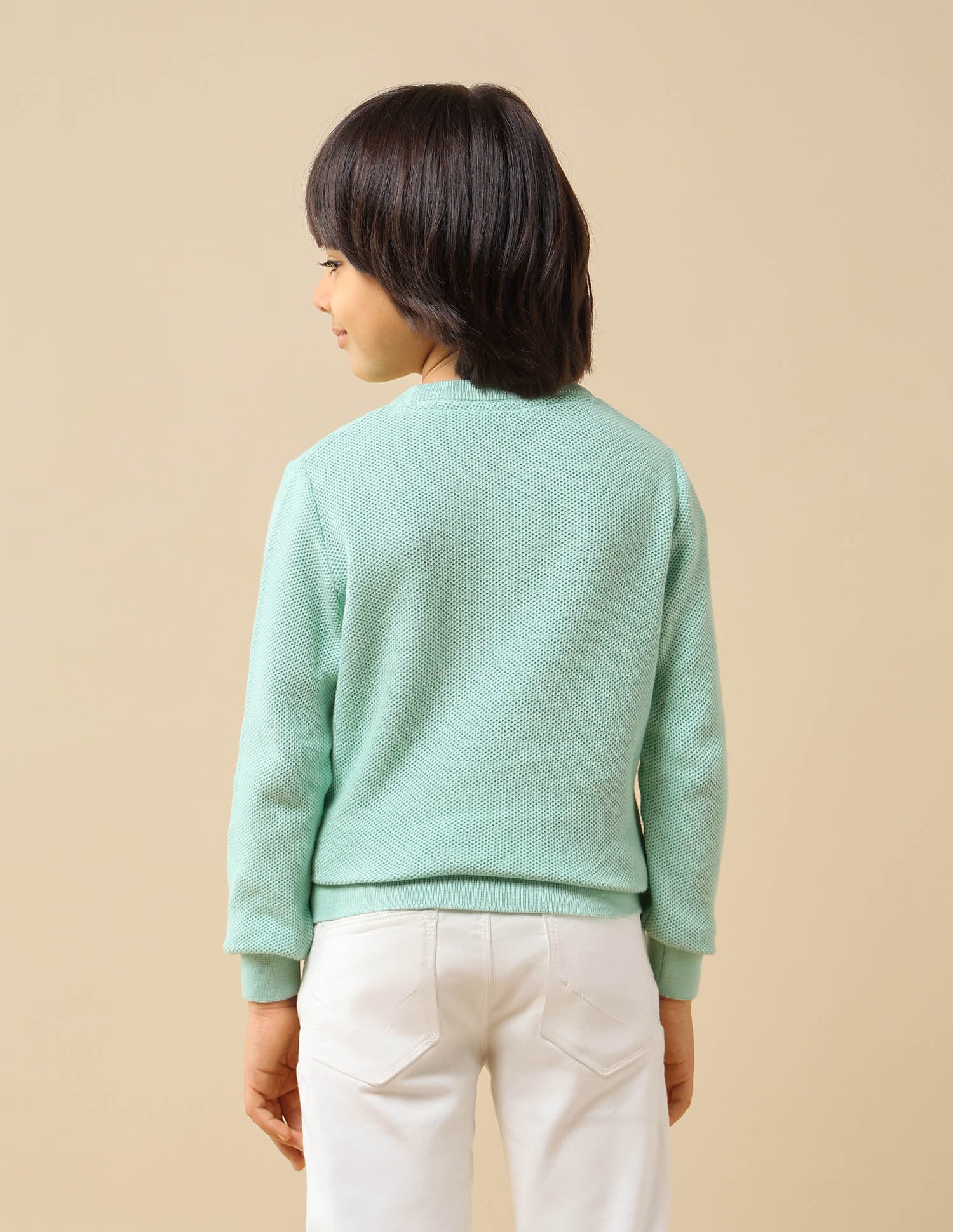 Boys Textured Regular Fit Sweater Light Green - U.S. POLO ASSN. | Large