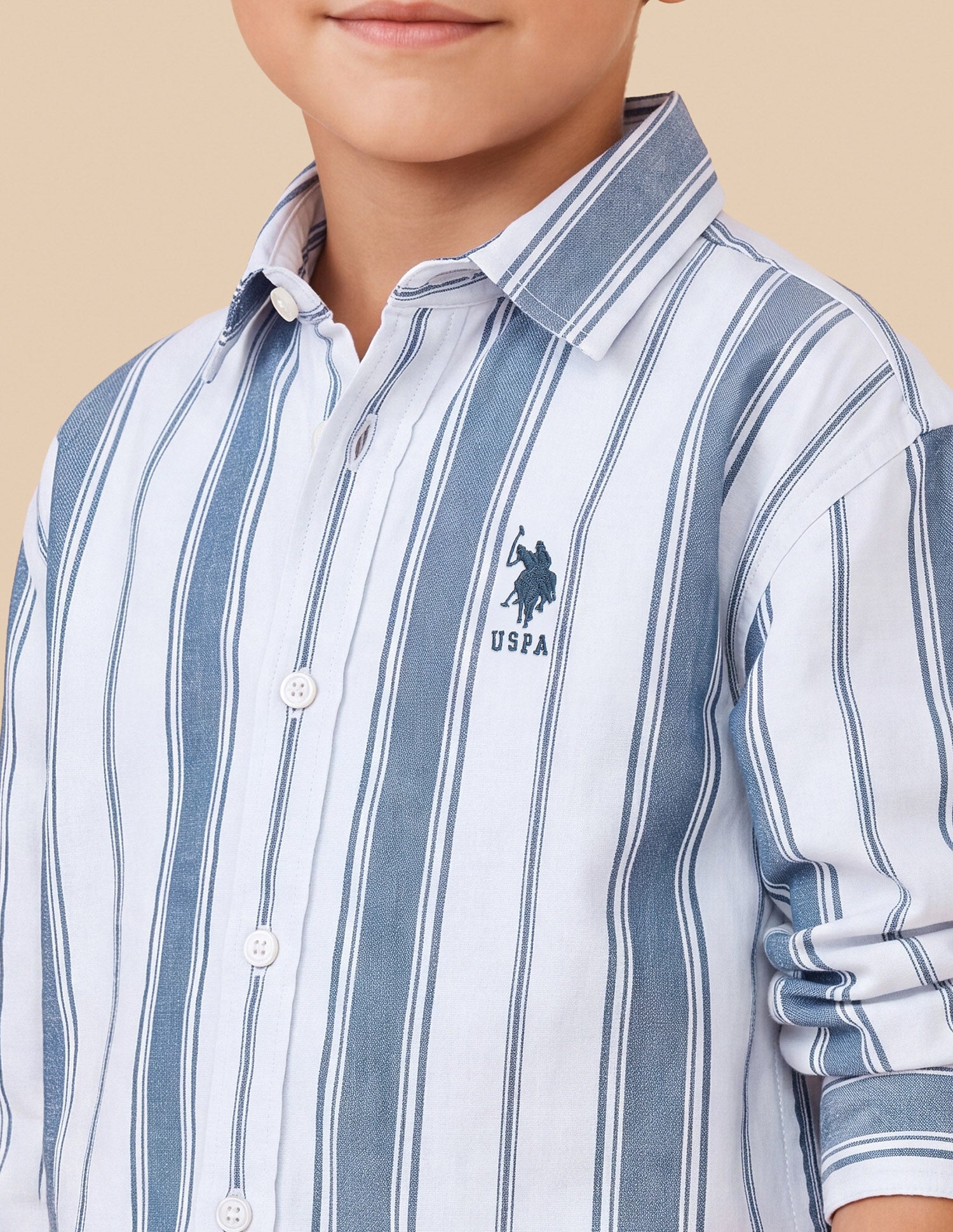 Vertical Striped Regular Fit Shirt Blue - U.S. Polo Assn. India | Large