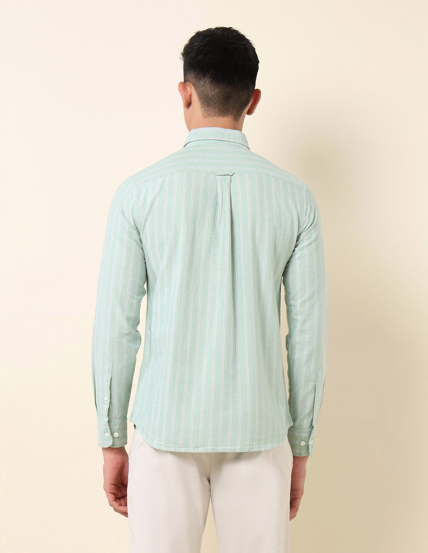 Vertical Striped Oxford Button-Down Shirt Green - U.S. Polo Assn. India | Large