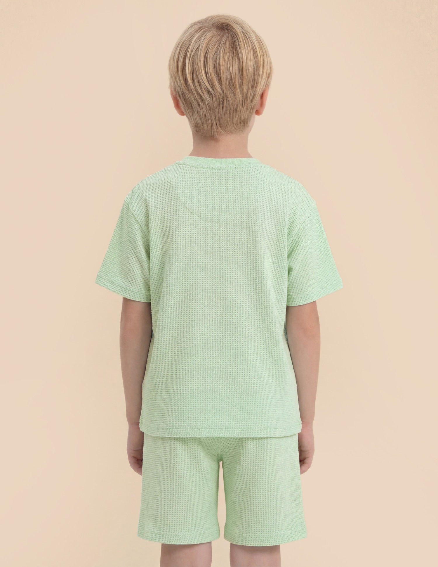 Boys Textured Oversized Fit T-Shirt Light Green - U.S. Polo Assn. India | Large