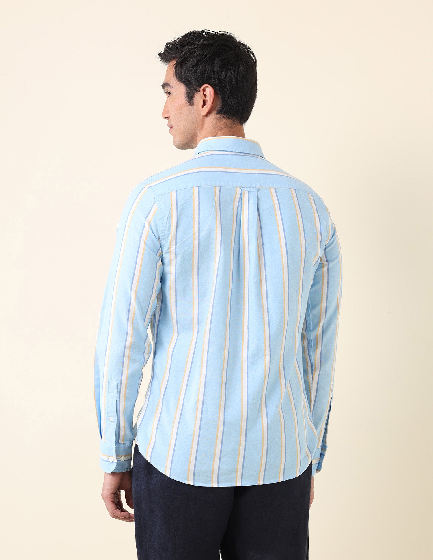 Vertical Striped Oxford Shirt Blue - U.S. Polo Assn. India | Large