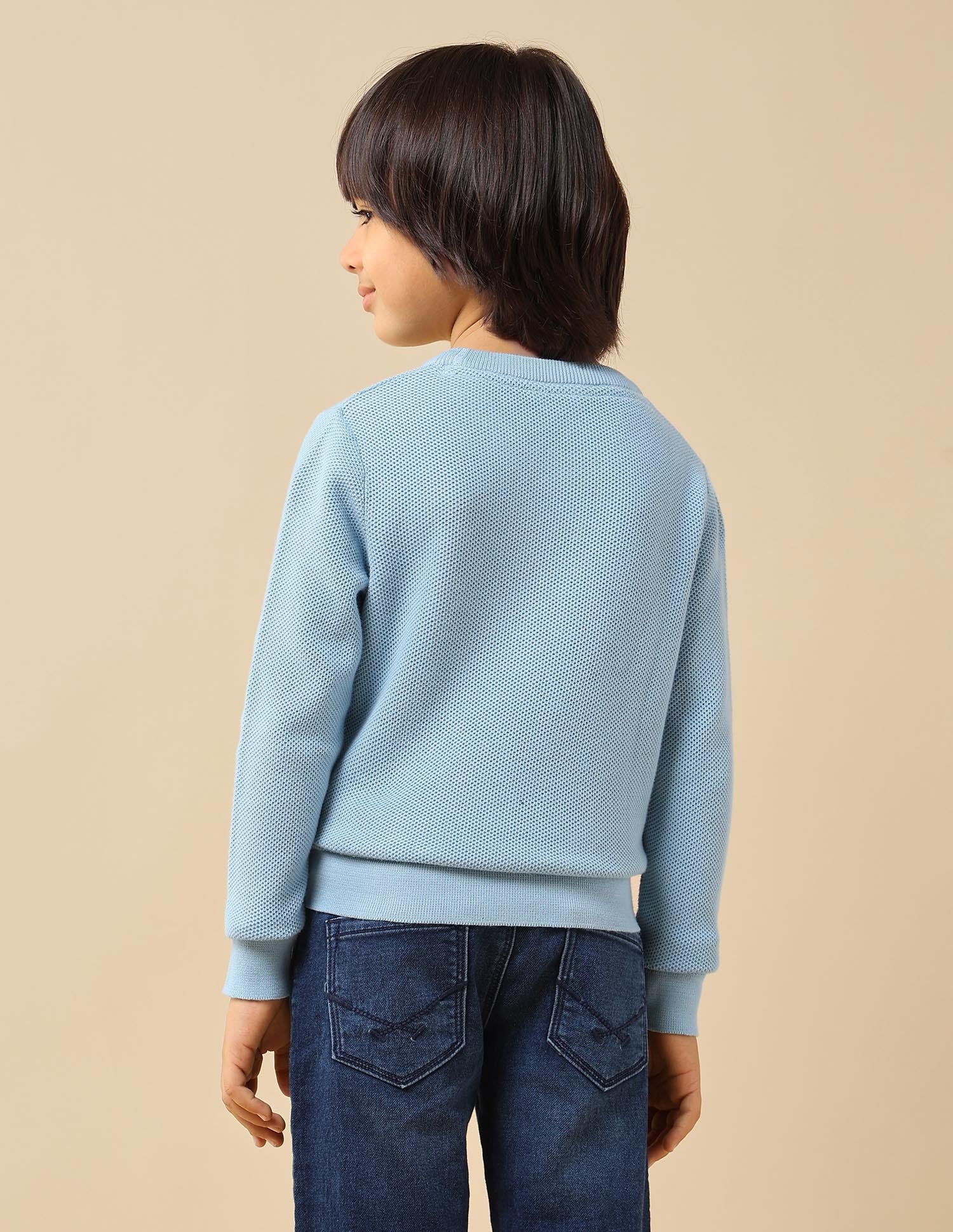 Boys Textured Regular Fit Sweater Light Blue - U.S. POLO ASSN. | Large