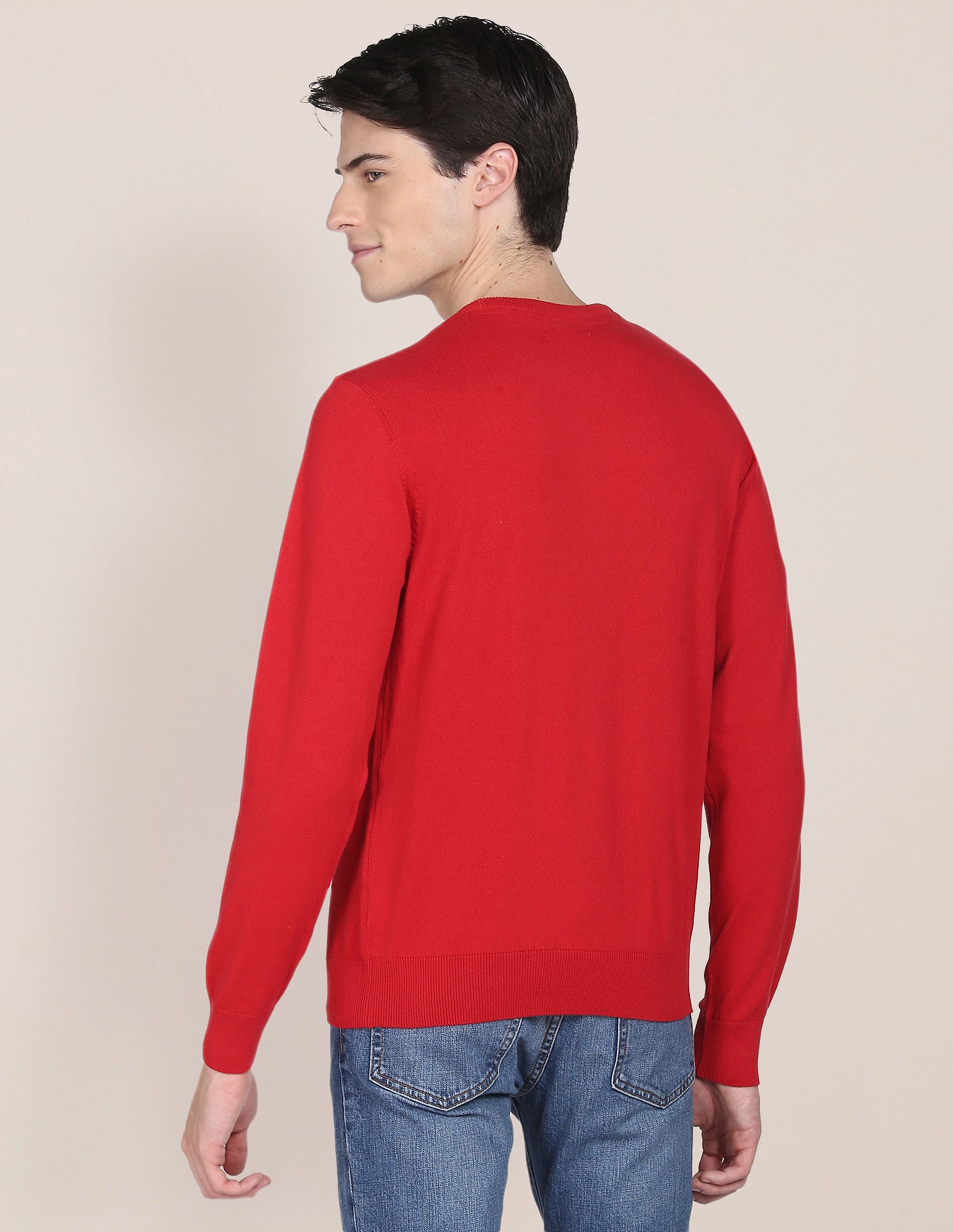 Crew Neck Solid Sweater Red - U.S. Polo Assn. India | Large