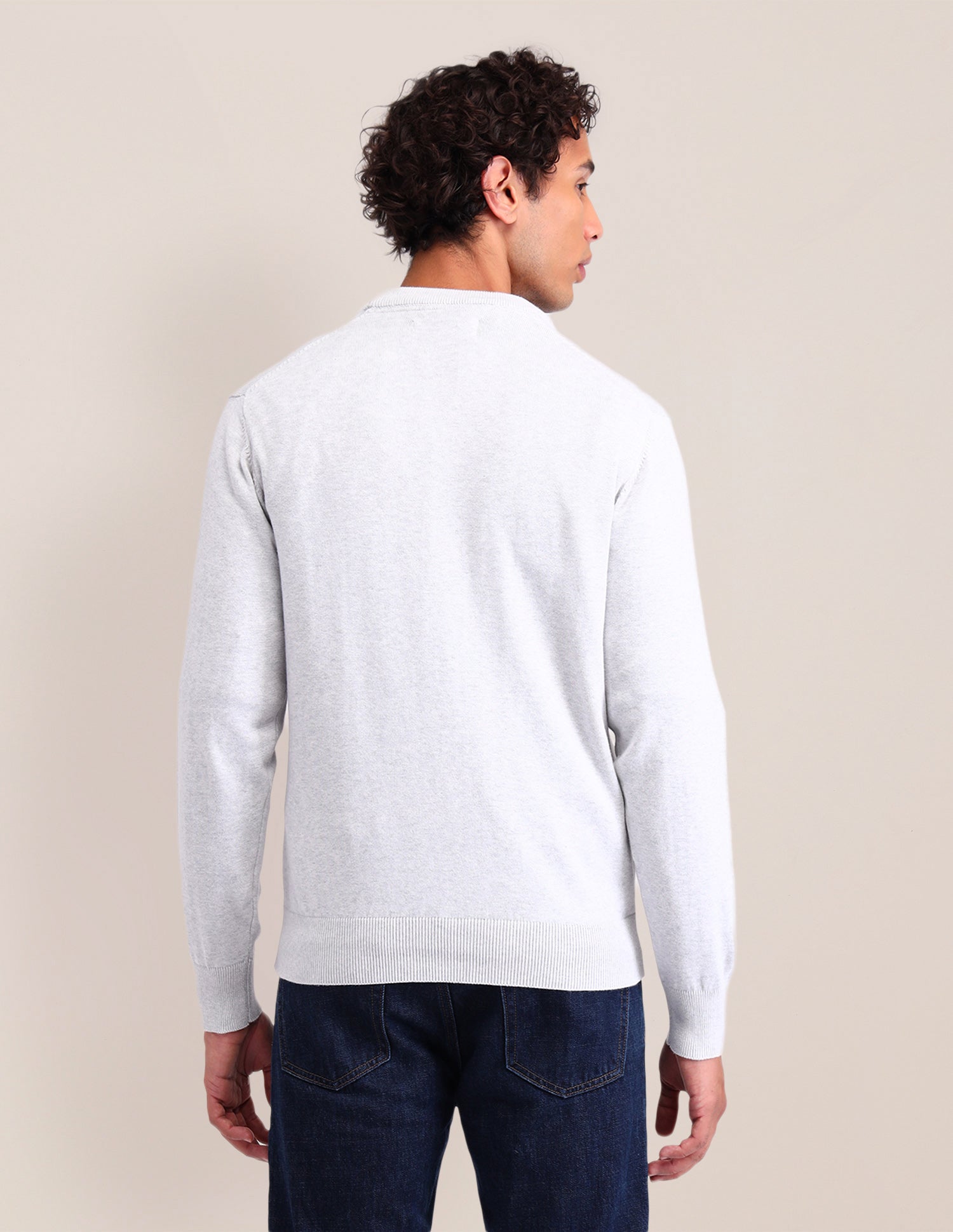 Brand Printed Regular Fit Sweater Beige - U.S. Polo Assn. India | Large