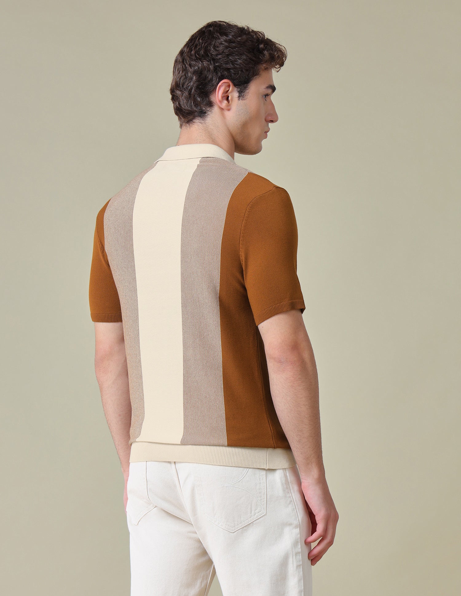 Colourblocked Regular Fit Polo Shirt Light Brown - U.S. Polo Assn. India | Large