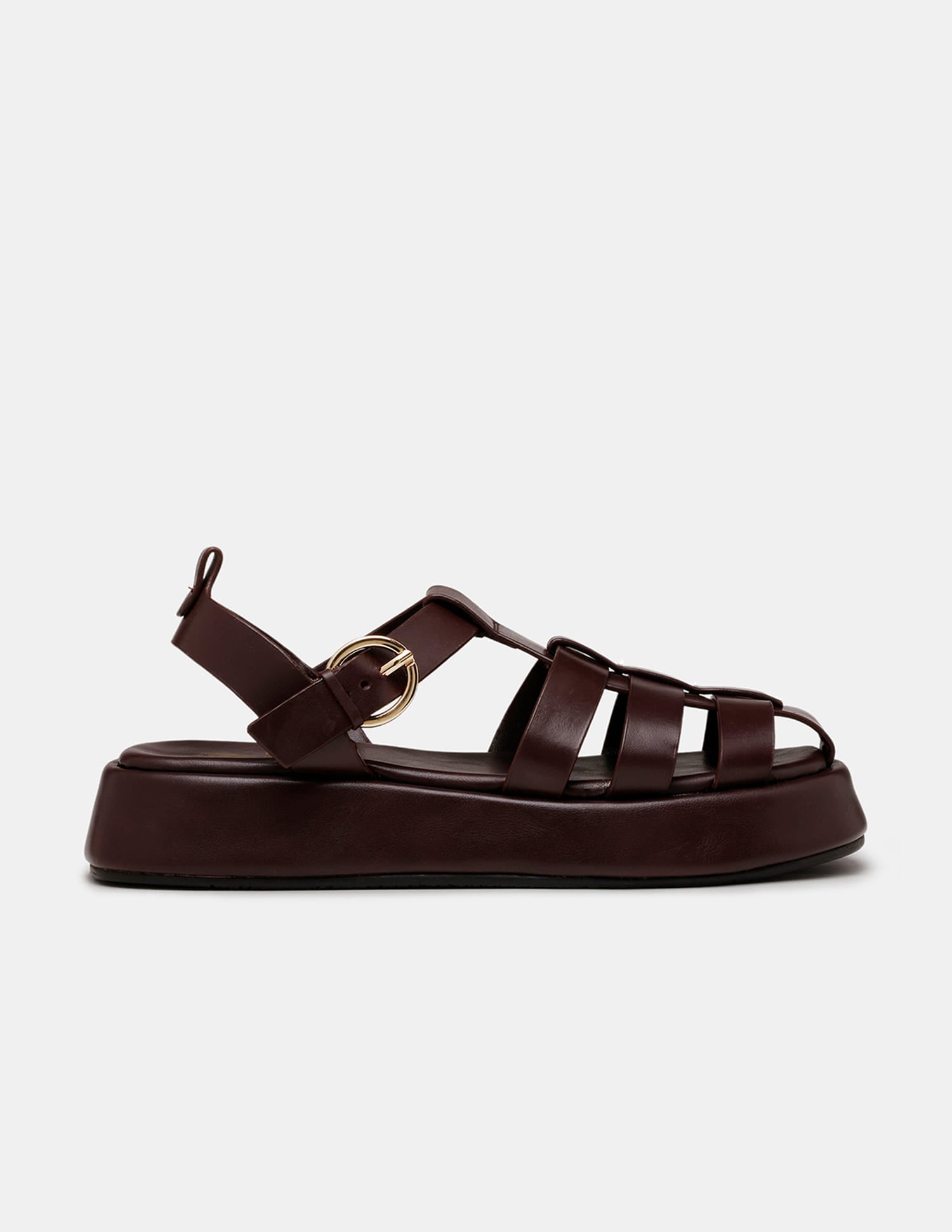 Women Multi Strap Nara Buckle Sandals Dark Brown - U.S. Polo Assn. India | Large