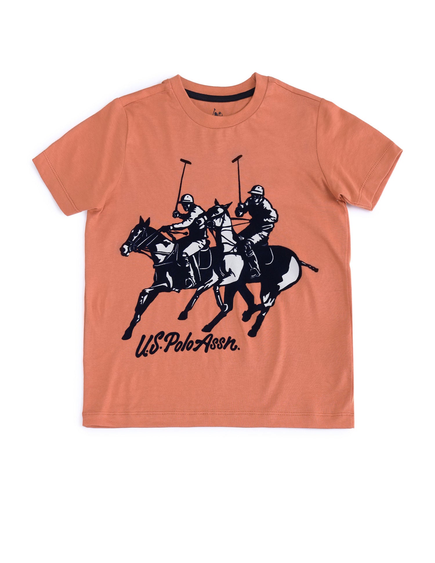 Boys Brand Print Regular Fit T-shirt Rust - U.S. POLO ASSN. | Large