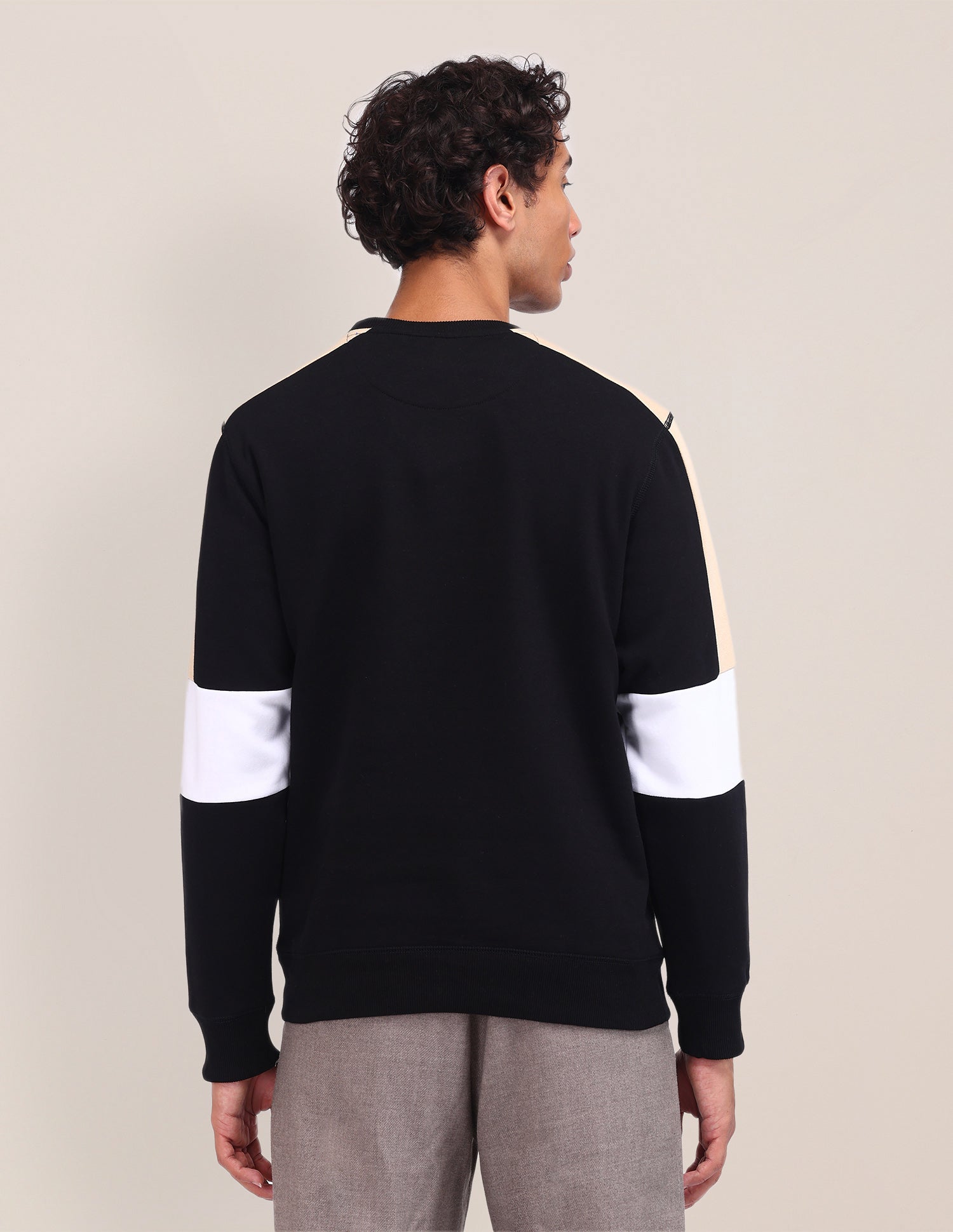 Colour Blocked Regular Fit Sweatshirt Black - U.S. Polo Assn. India | Large