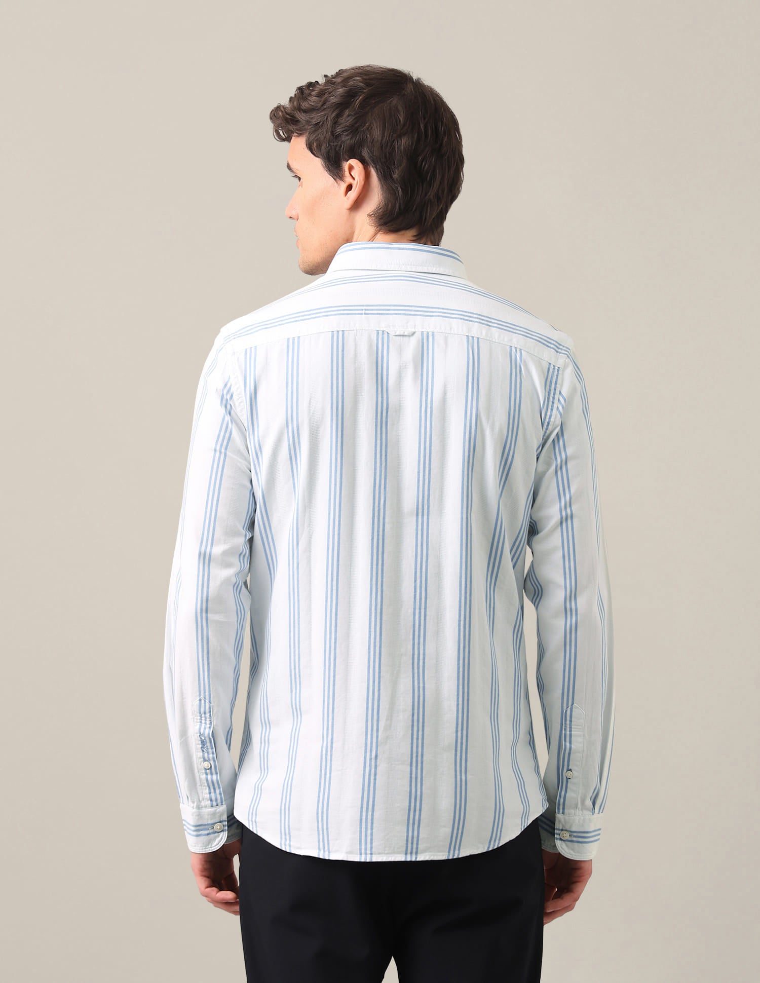 Vertical Striped Button Down Shirt Blue - U.S. Polo Assn. India | Large