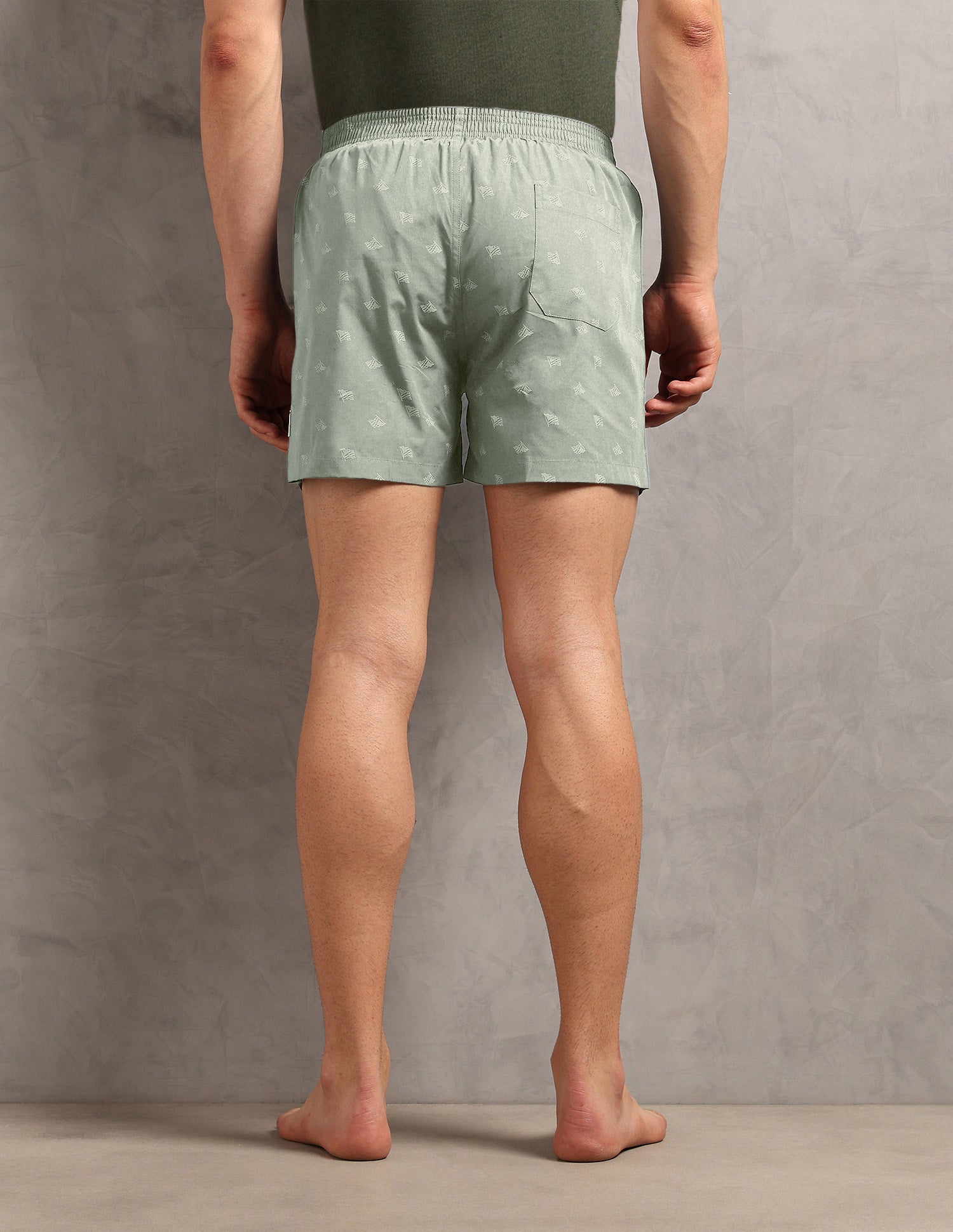 Printed Cotton OEX12 Boxers - Pack Of 1 Light Green - U.S. Polo Assn. India | Large