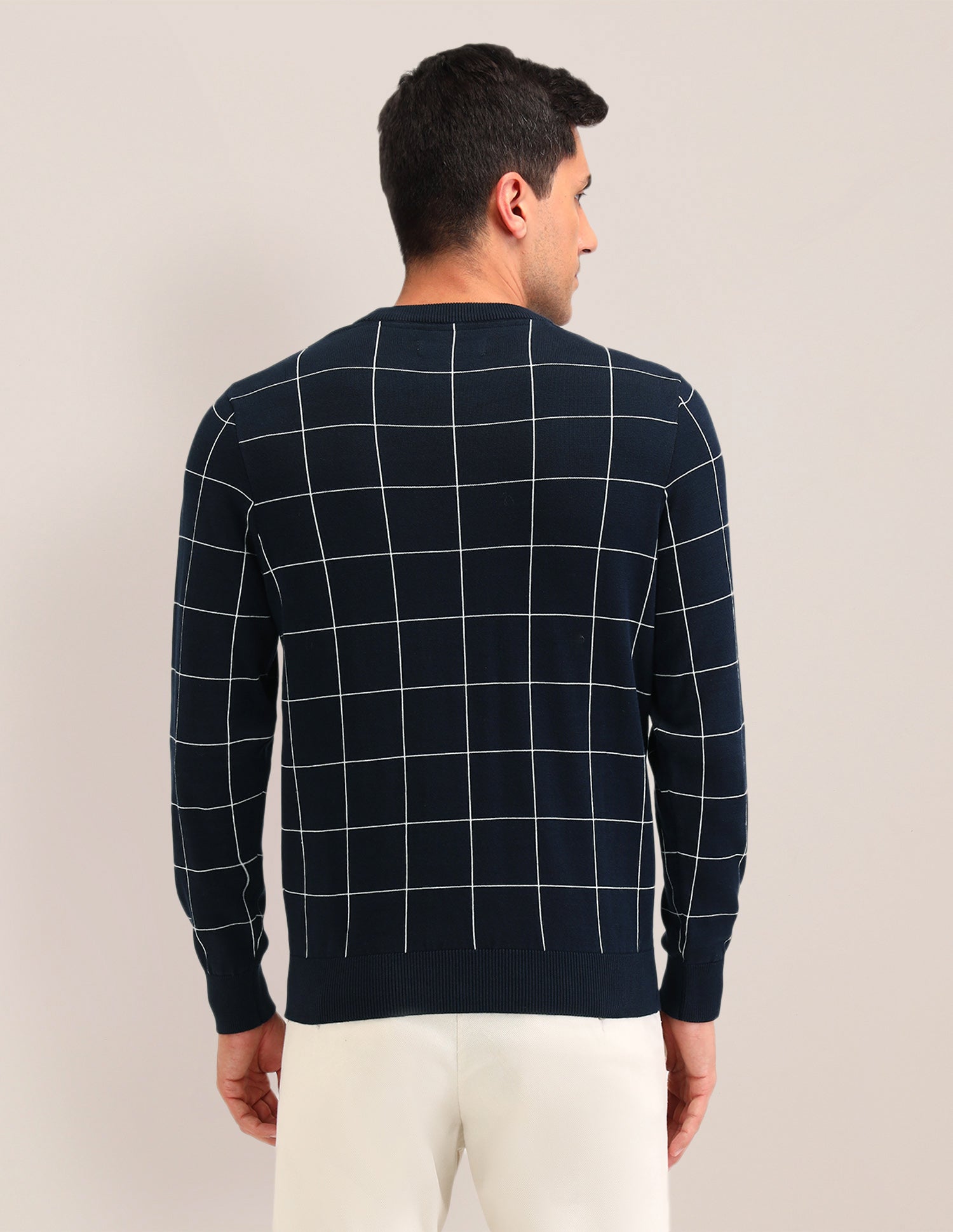 Checked Regular Fit Sweater Navy - U.S. Polo Assn. India | Large