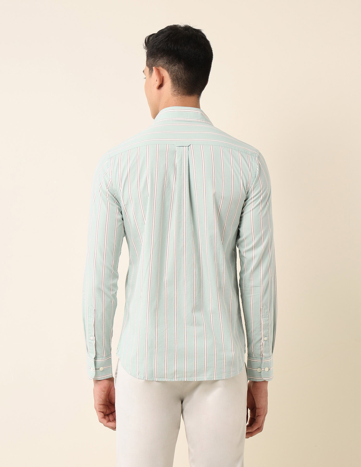 Vertical Striped Pure Cotton Shirt Light Green - U.S. Polo Assn. India | Large