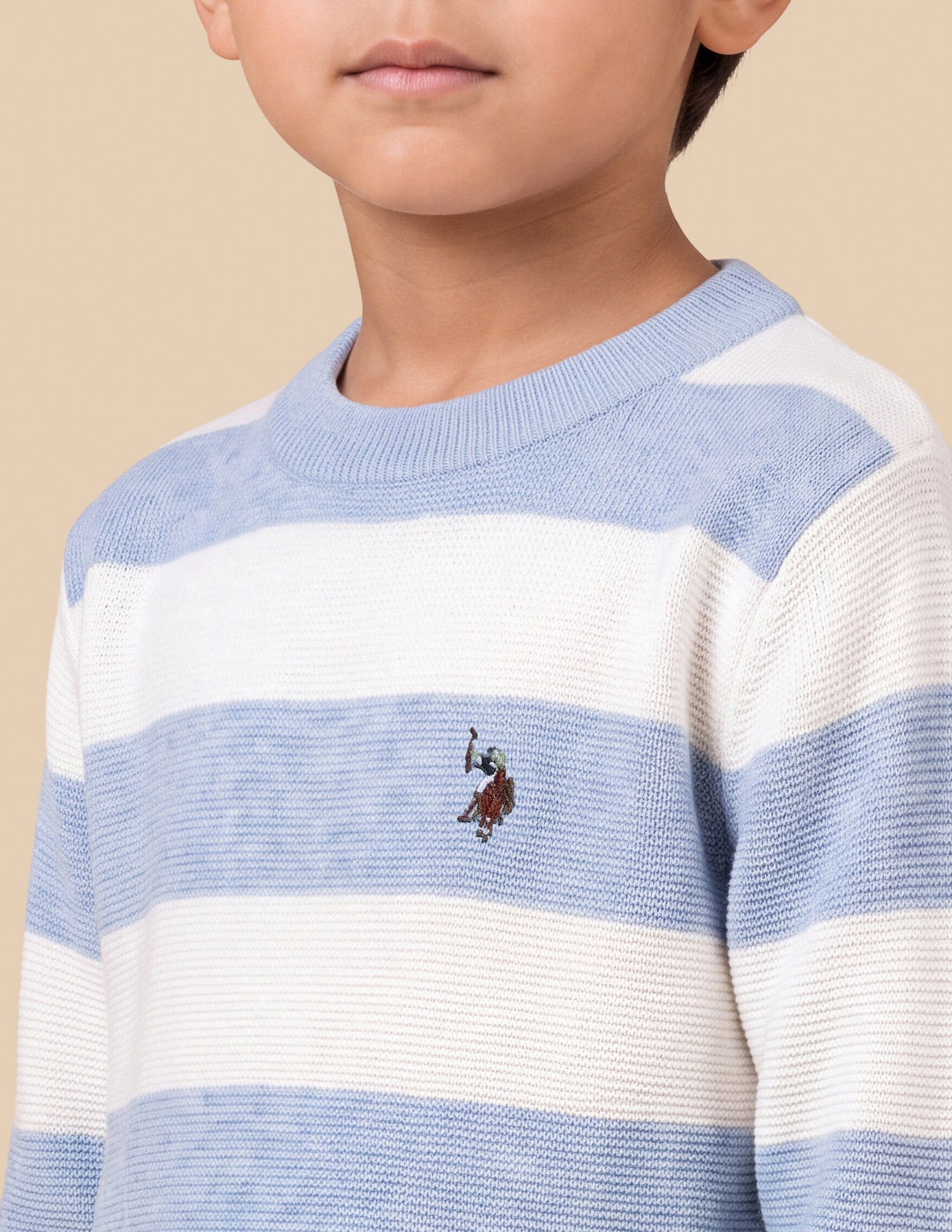 Horizontal Striped Regular Fit Sweater Light Blue - U.S. Polo Assn. India | Large