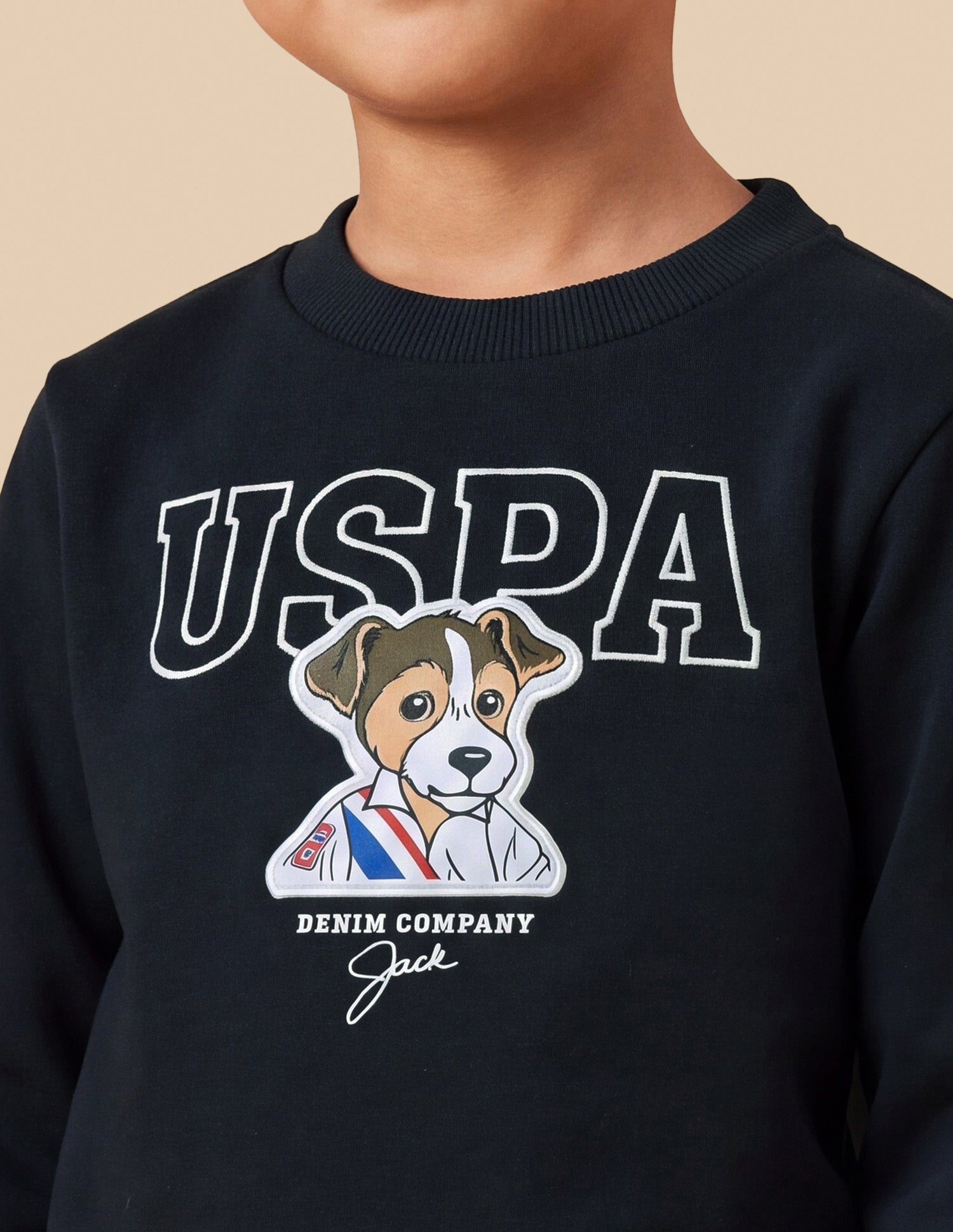 Graphic Brand Embroidered Regular Fit Sweatshirt Navy - U.S. Polo Assn. India | Large