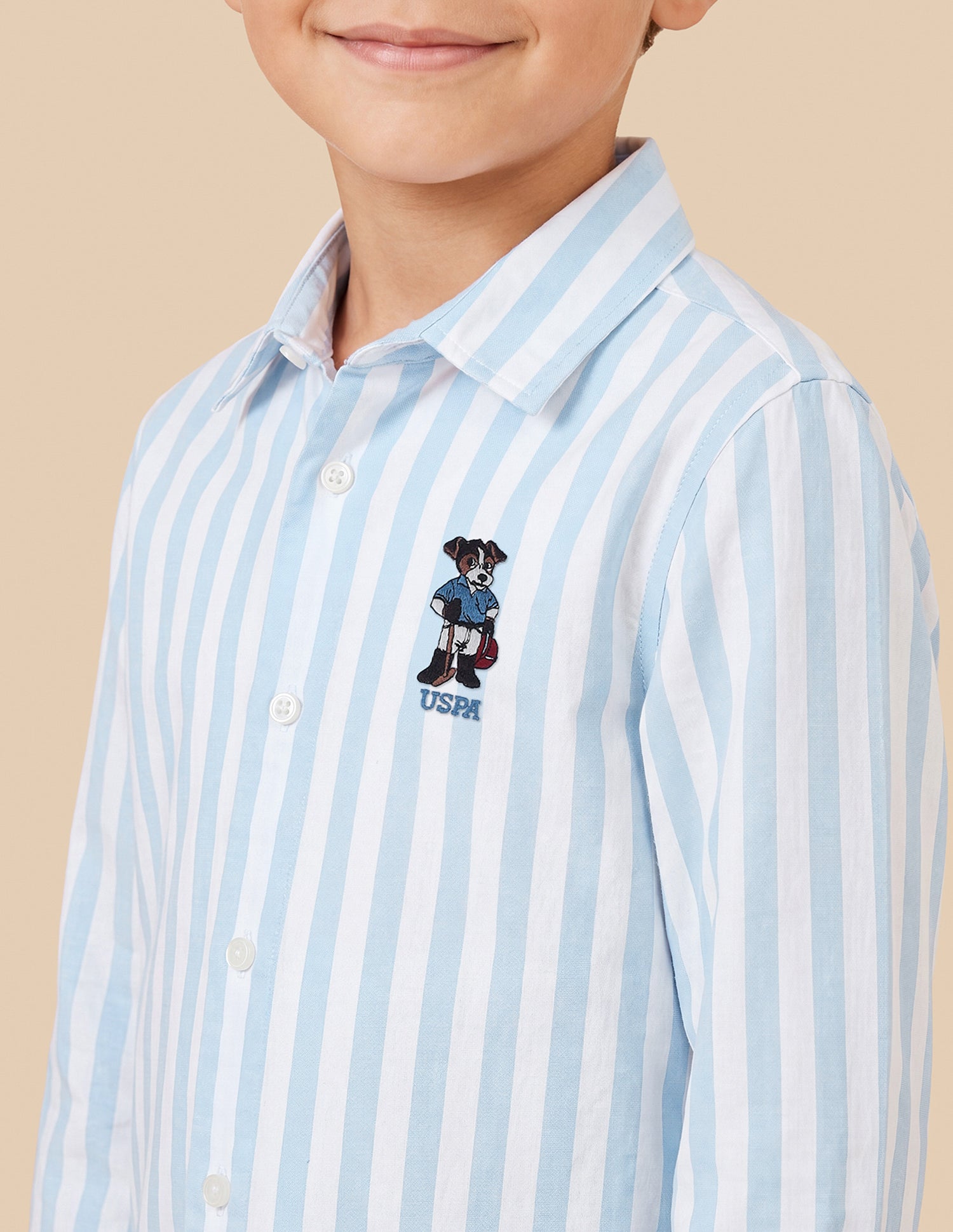 Vertical Striped Oxford Shirt Blue - U.S. Polo Assn. India | Large