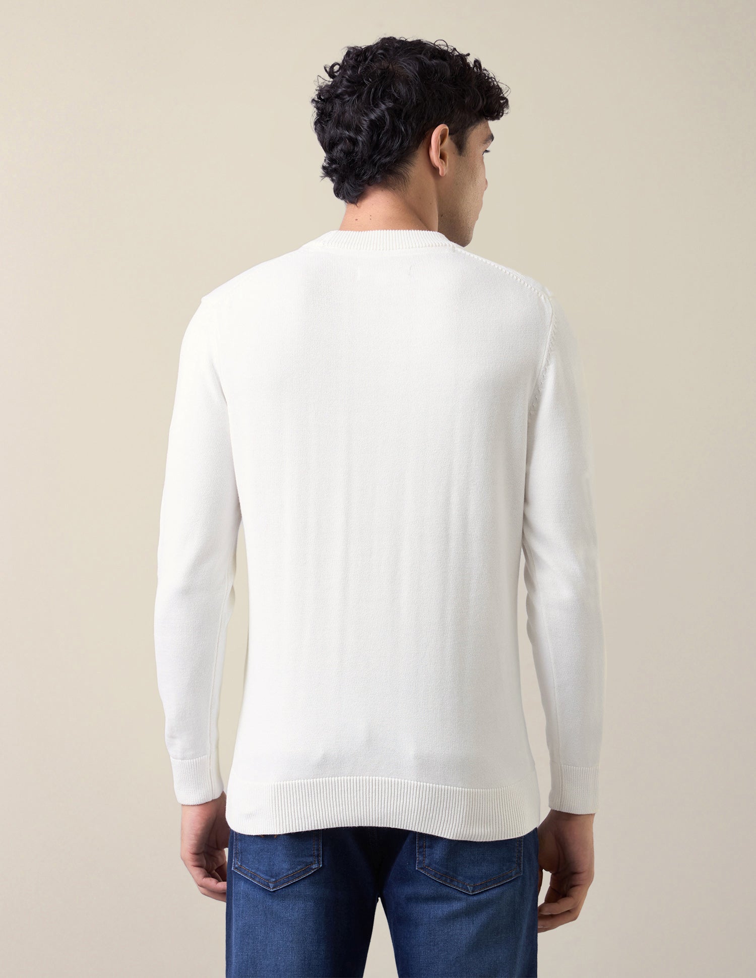 Brand Patterned Knit Slim Fit Sweater White - U.S. Polo Assn. India | Large