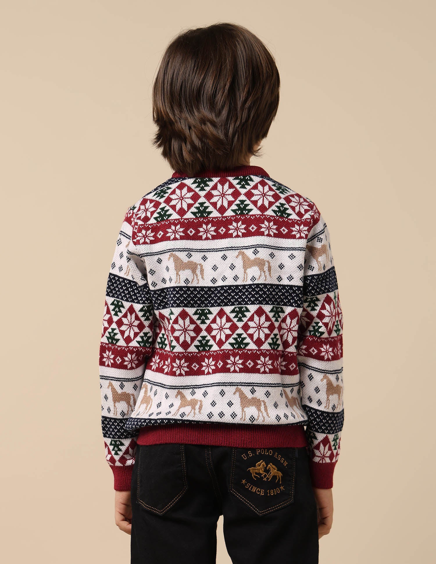 Boys All Over Printed Regular Fit Sweater Dark Red - U.S. Polo Assn. India | Large