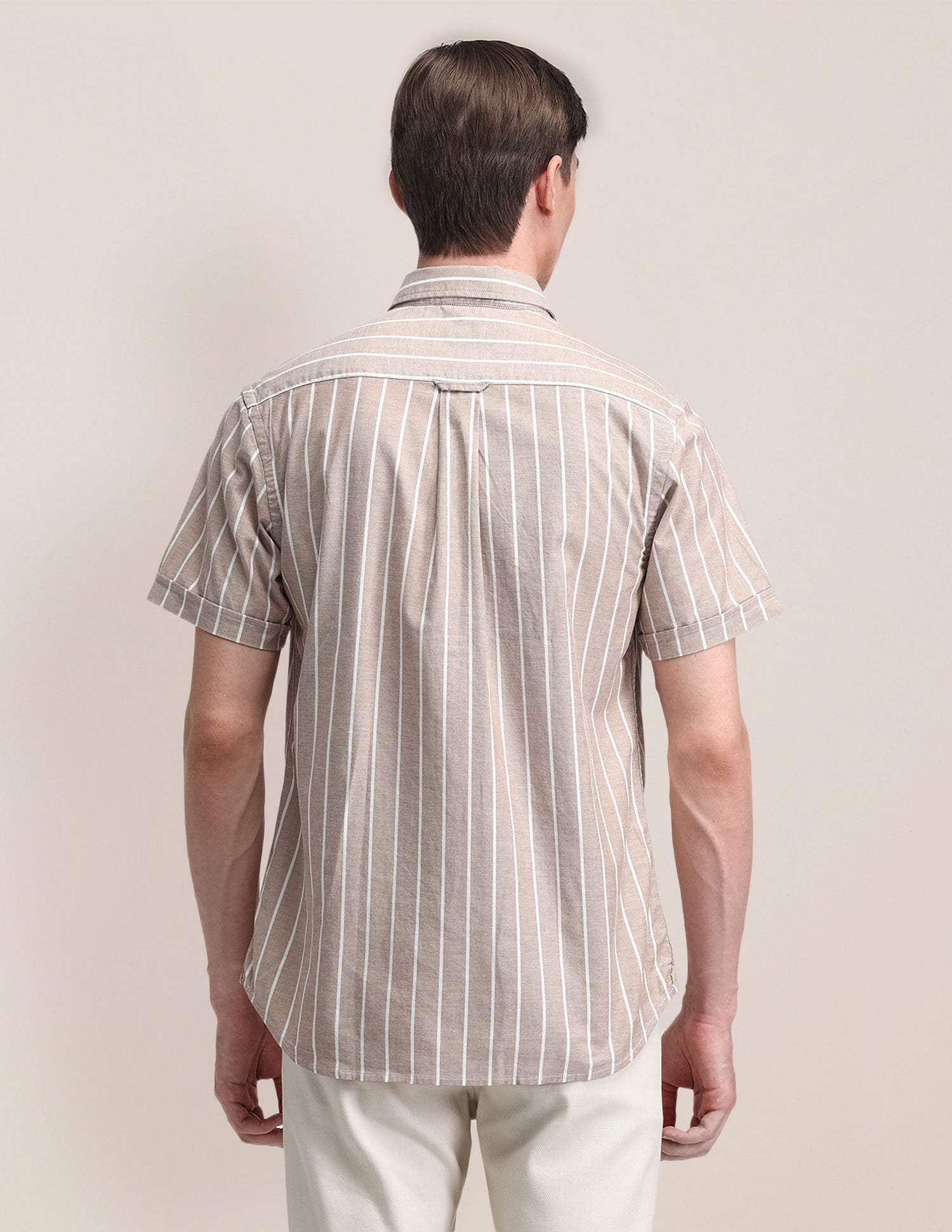 Tailored Vertical Striped Shirt Lt. Brown - U.S. Polo Assn. India | Large