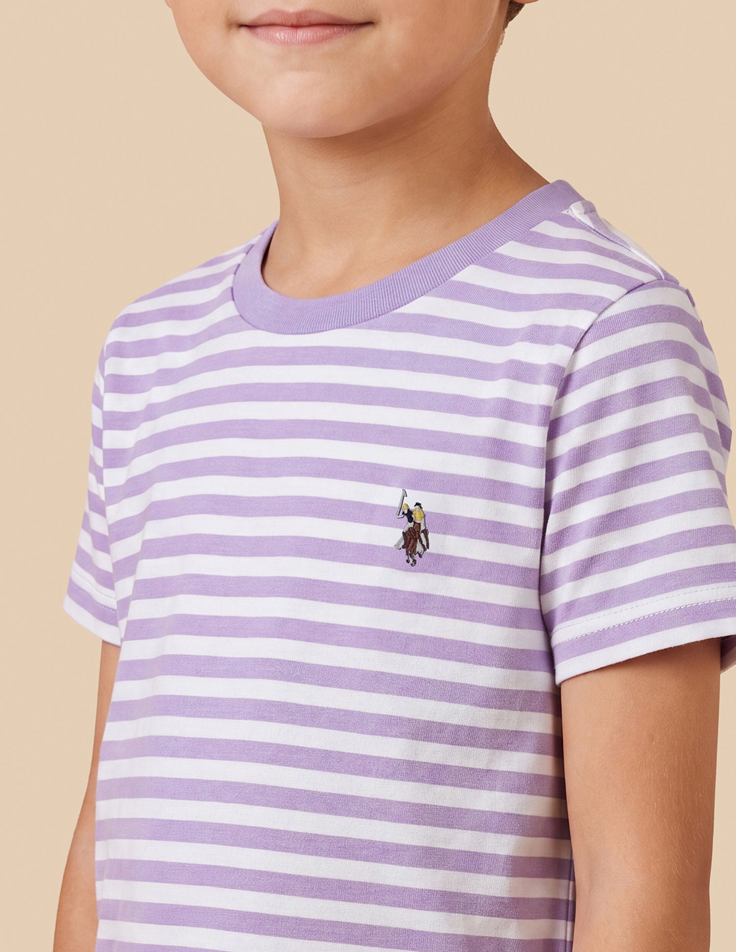 Horizontal Striped Regular Fit T-Shirt Purple - U.S. Polo Assn. India | Large