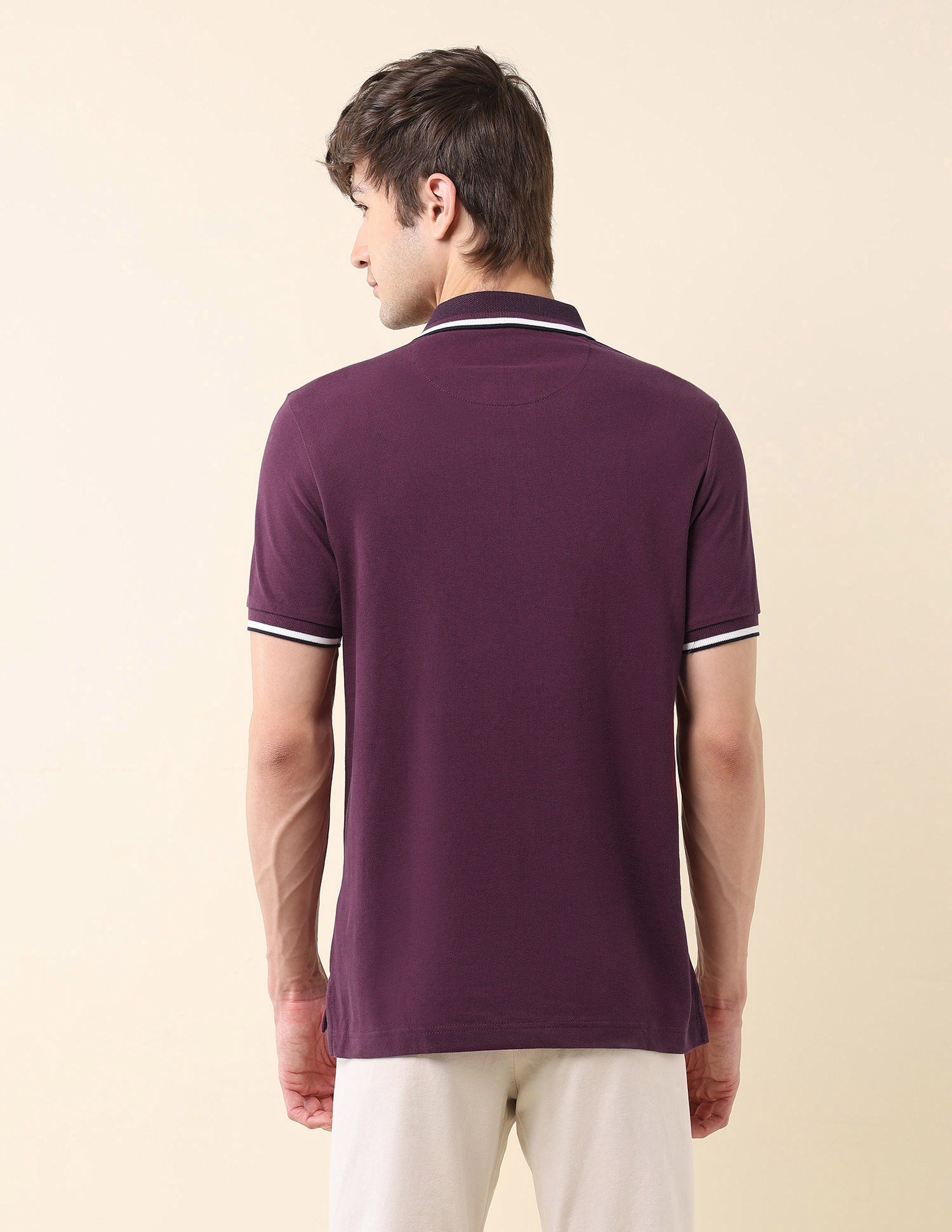 Solid Pure Cotton Classic Polo Shirt Violet - U.S. Polo Assn. India | Large