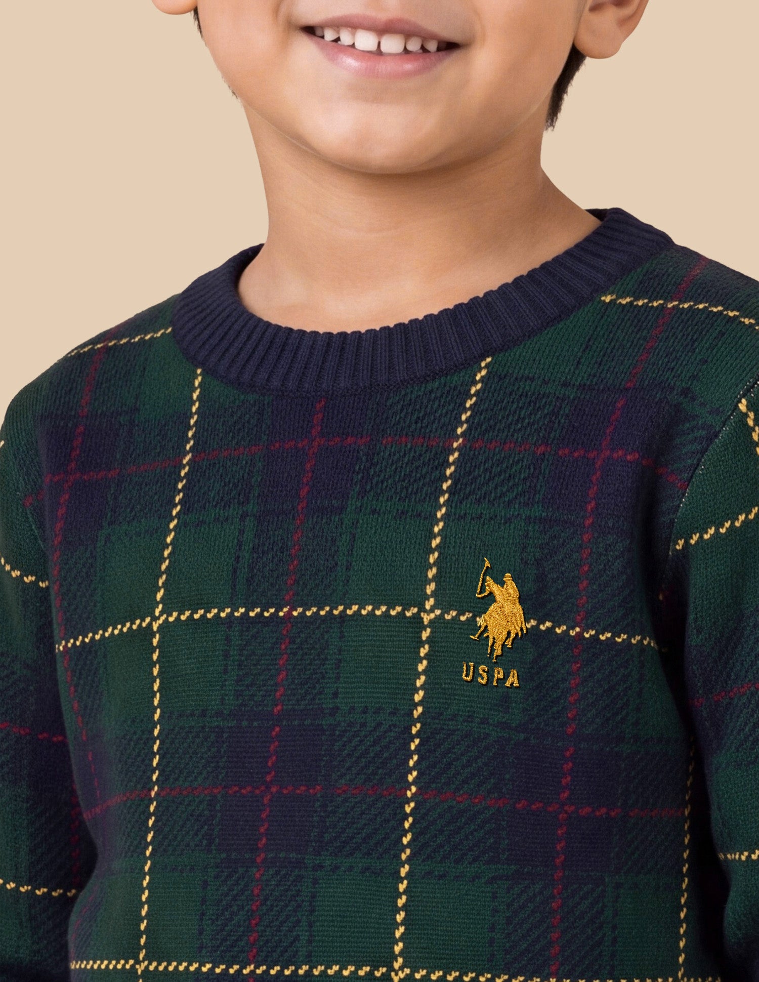 Checked Regular Fit Sweater Green - U.S. Polo Assn. India | Large