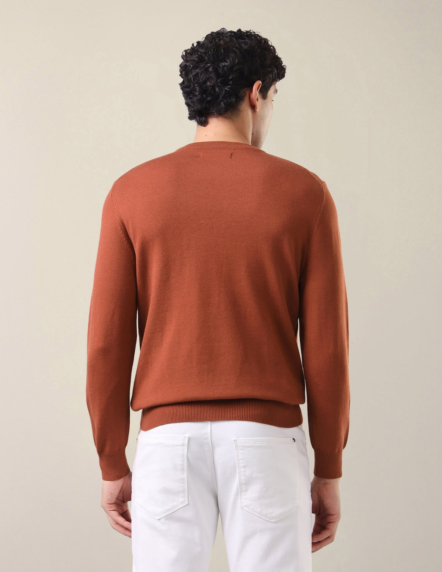 Solid Regular Fit Sweater Rust - U.S. Polo Assn. India | Large