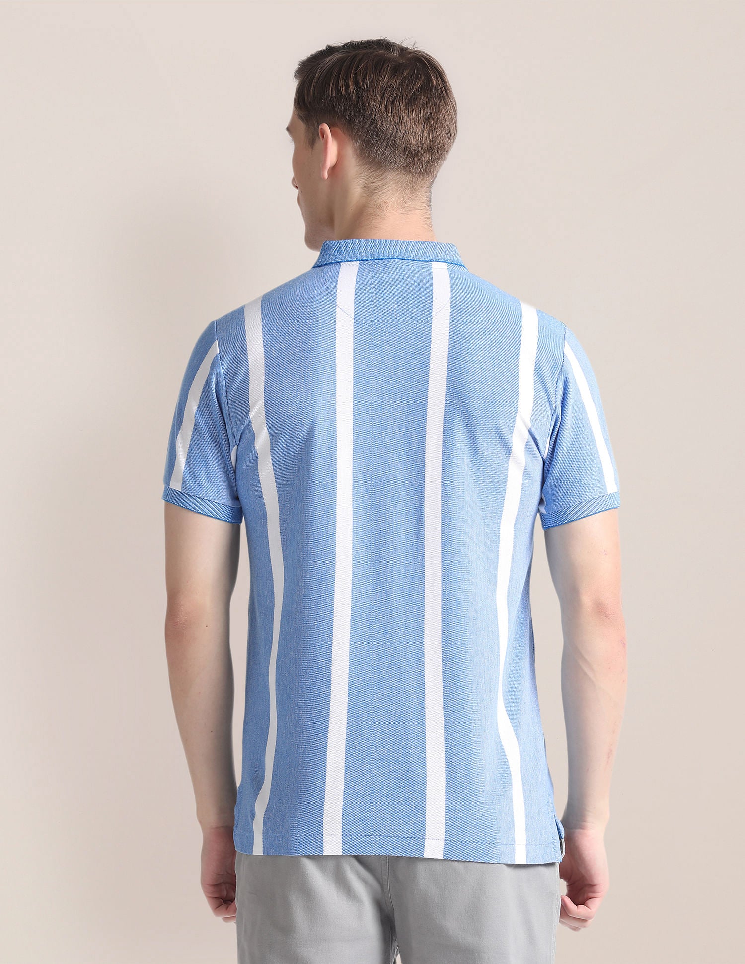 Vertical Stripe Cotton Polo Shirt Blue - U.S. Polo Assn. India | Large