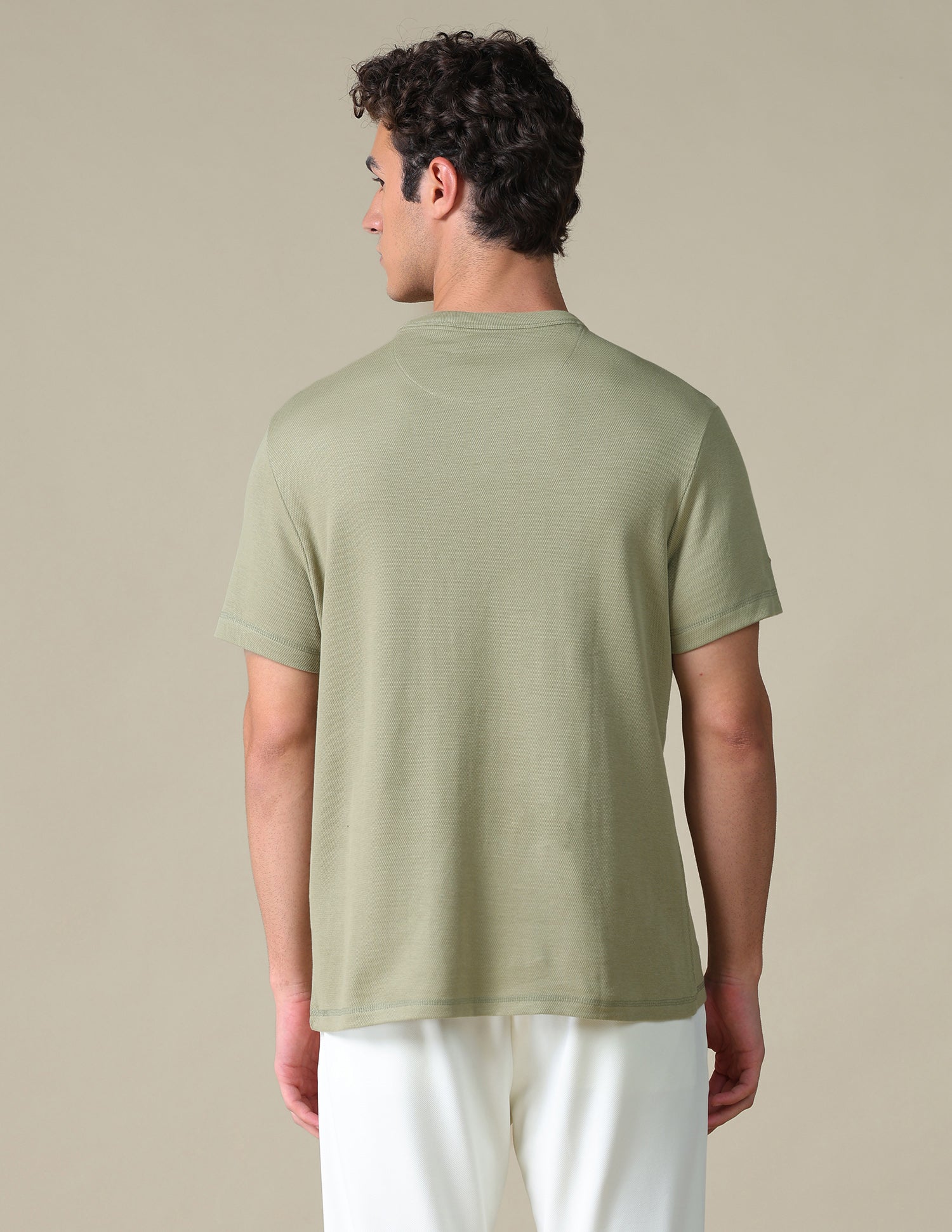Slim Fit Solid T-Shirt Green - U.S. Polo Assn. India | Large